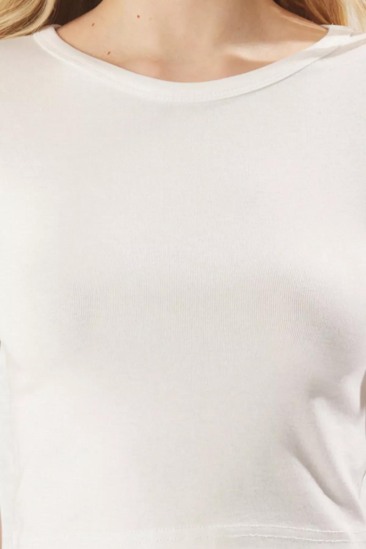 Beige Crop Crew Neck Knitted Blouse, , large image number 3