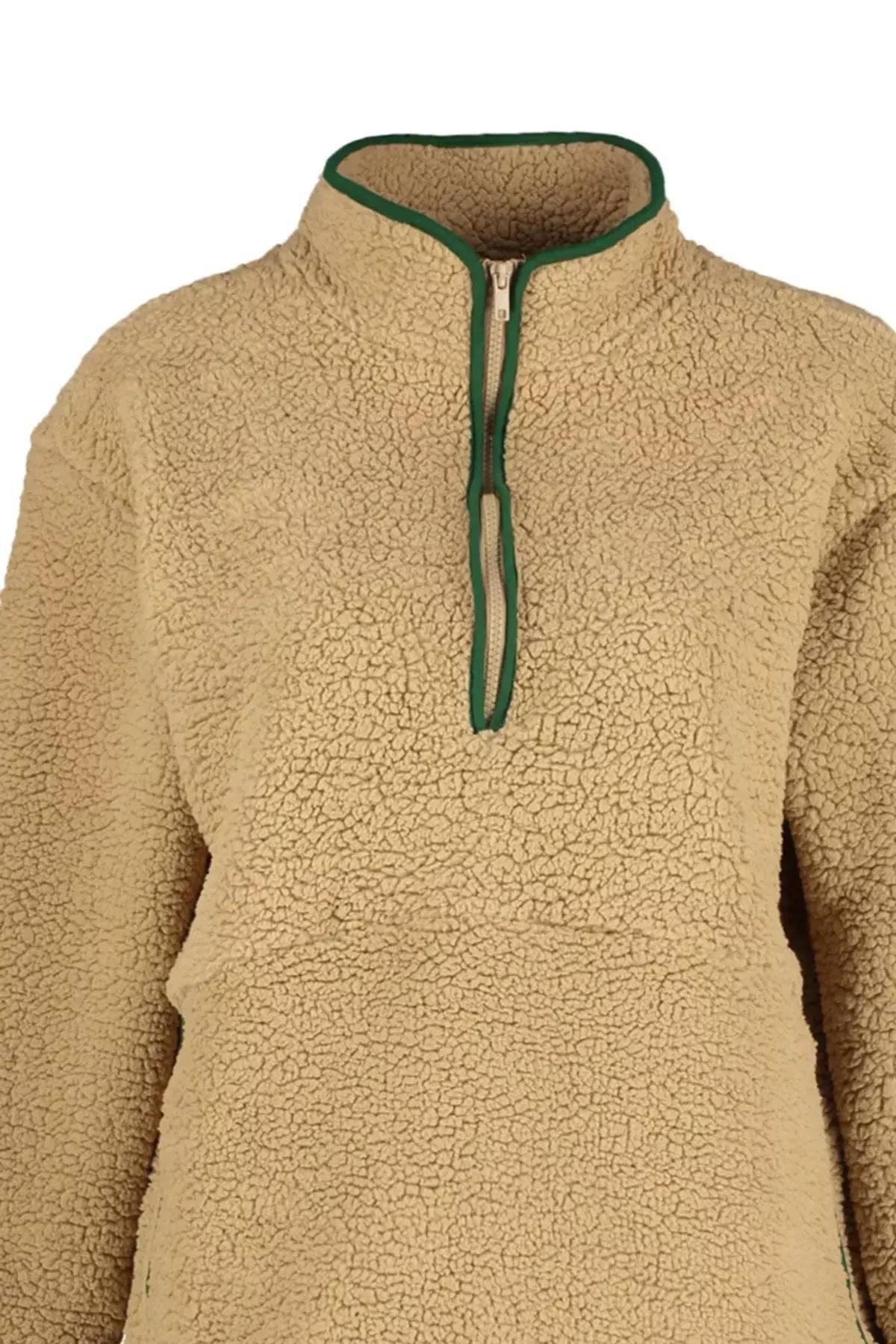 Brown Plush Sports Sweatshirt, Brown, large image number 5