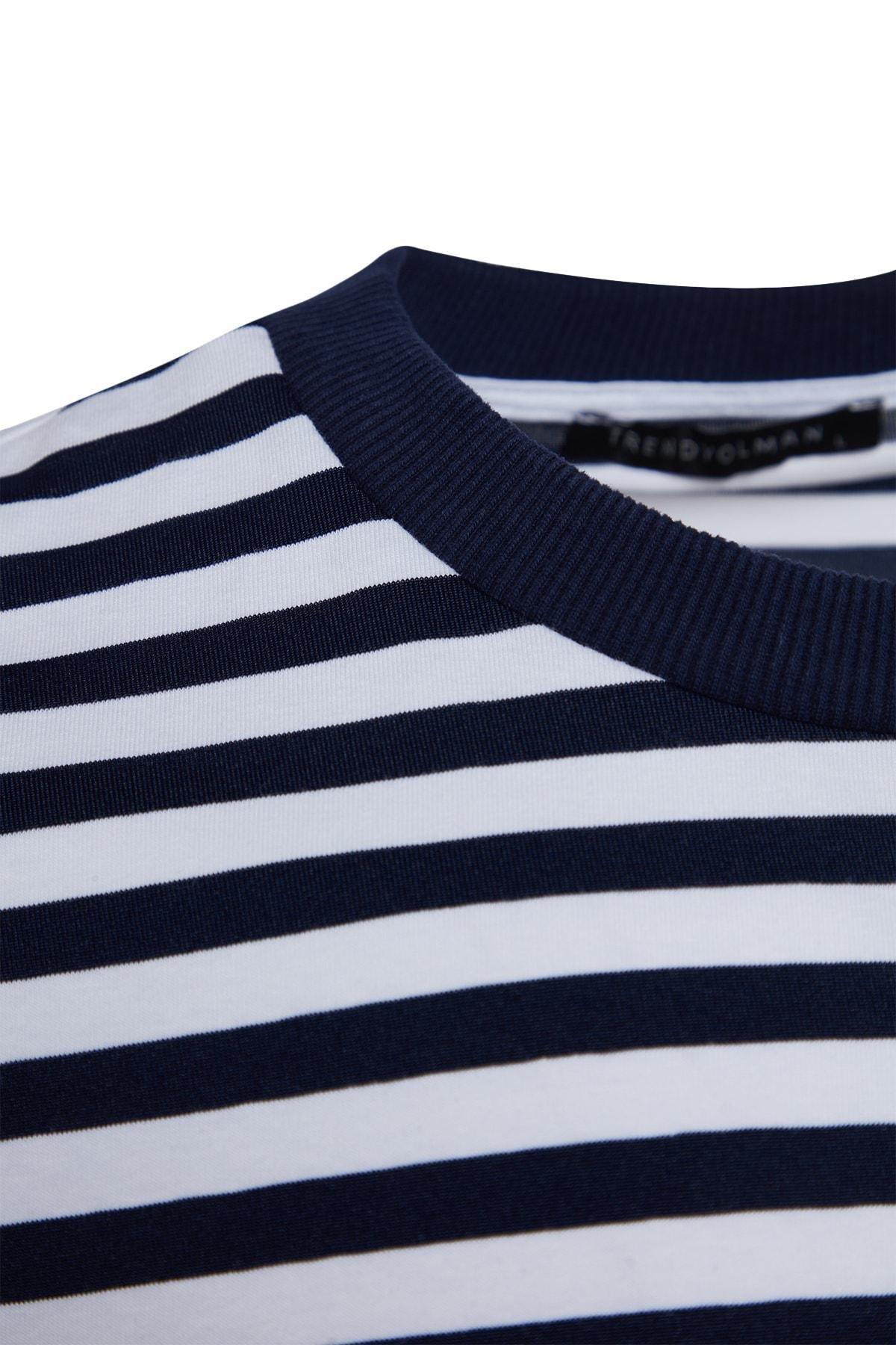 Navy Striped Crew Neck T-Shirt, , large image number 7