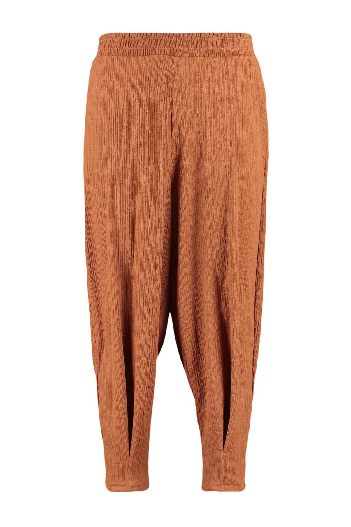 Brown Carrot Pants Plus Size Pants, , large image number 6