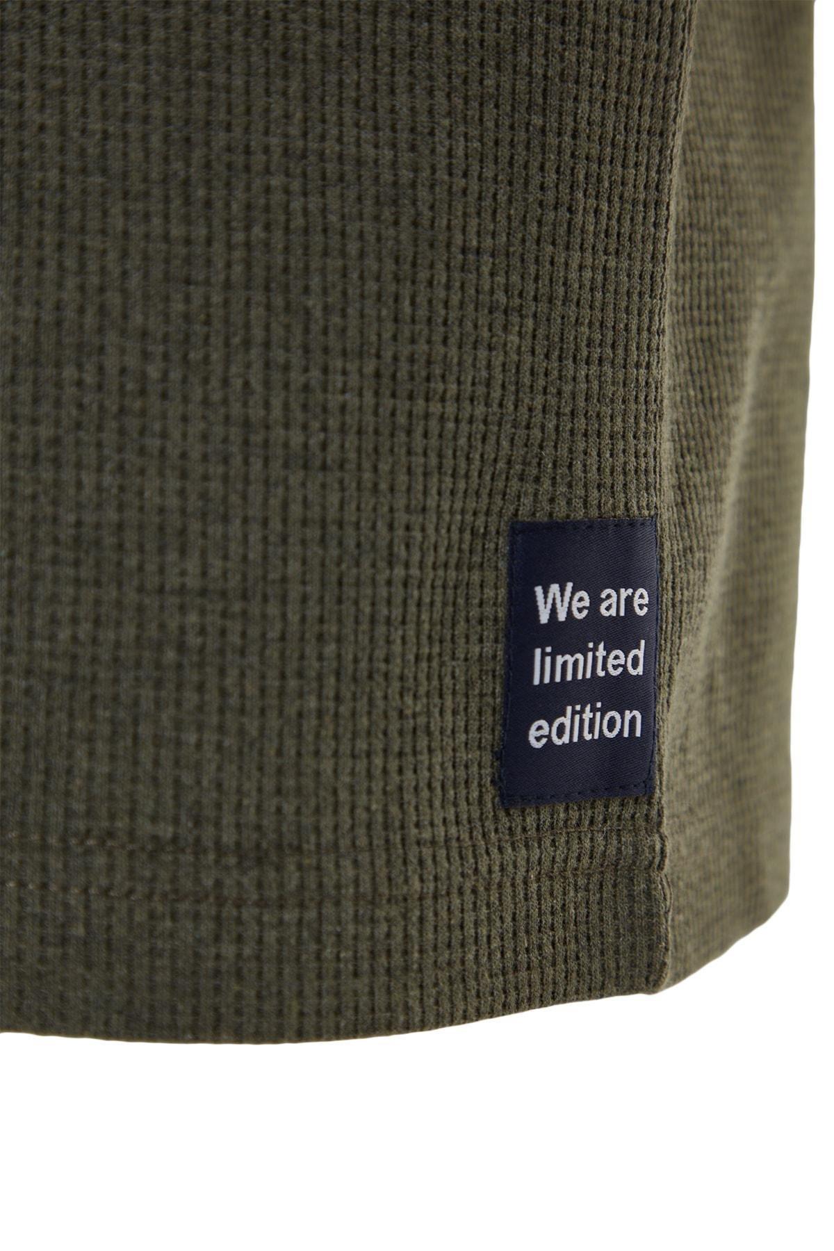 Khaki Relaxed T-Shirt, , large image number 7