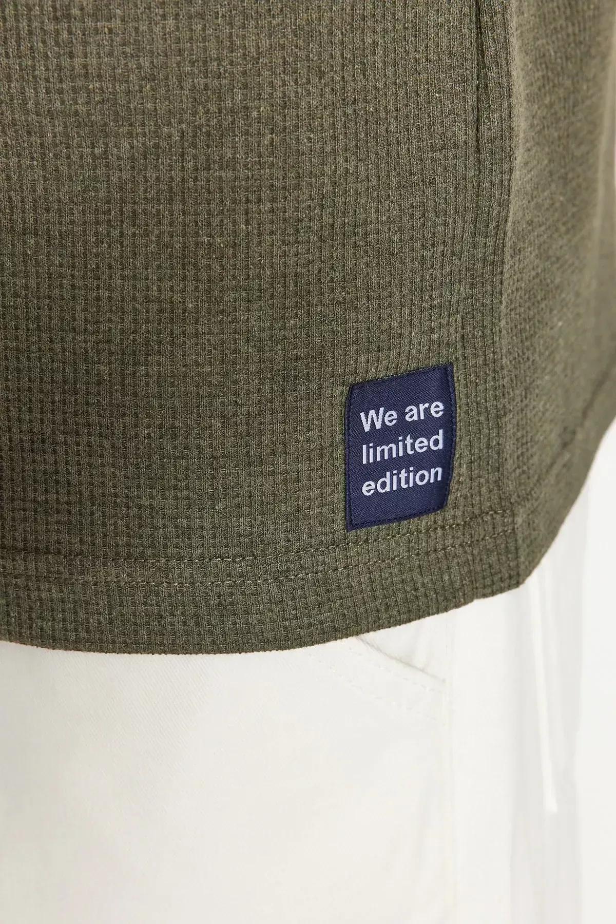 Khaki Relaxed T-Shirt, Khaki, large image number 8