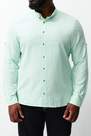Trendyol - Green Regular Plus Size Shirt