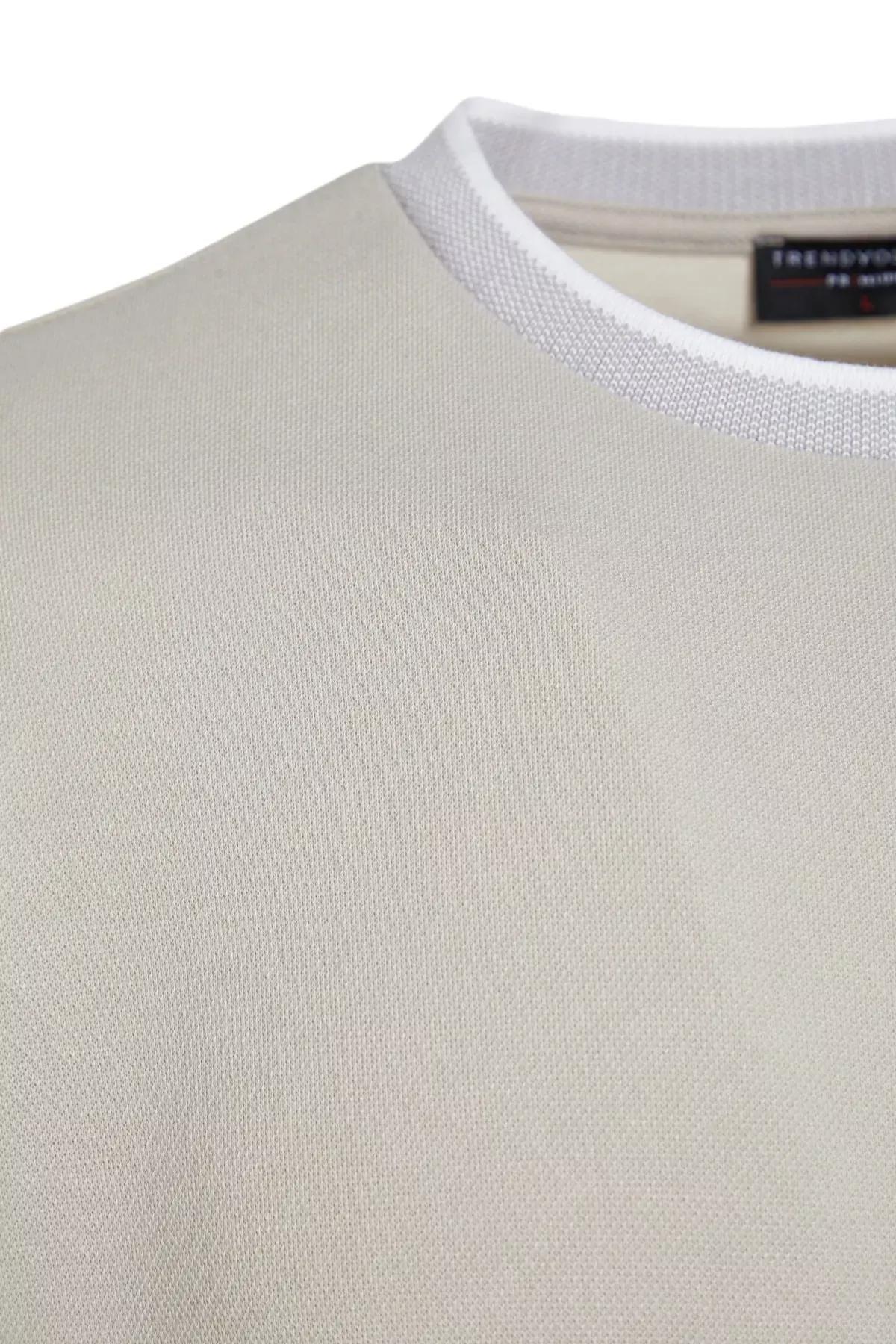 Grey Relaxed T-Shirt, , large image number 14