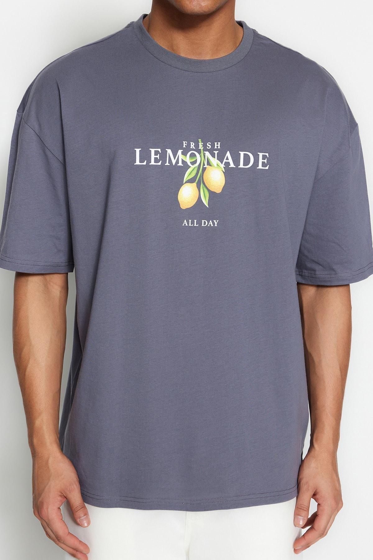 Gray Printed Oversize T-Shirt, , large image number 1