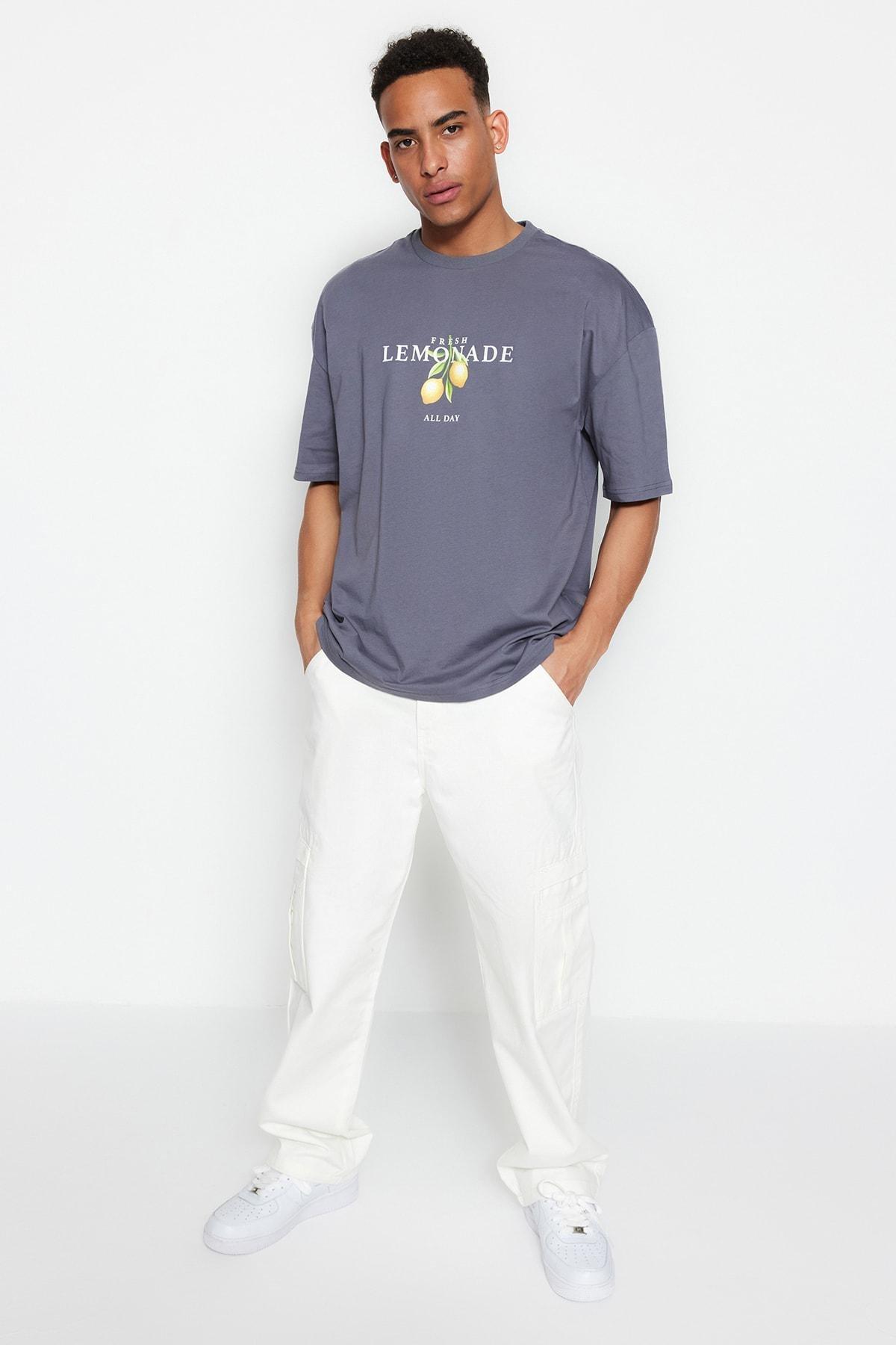 Gray Printed Oversize T-Shirt, , large image number 3
