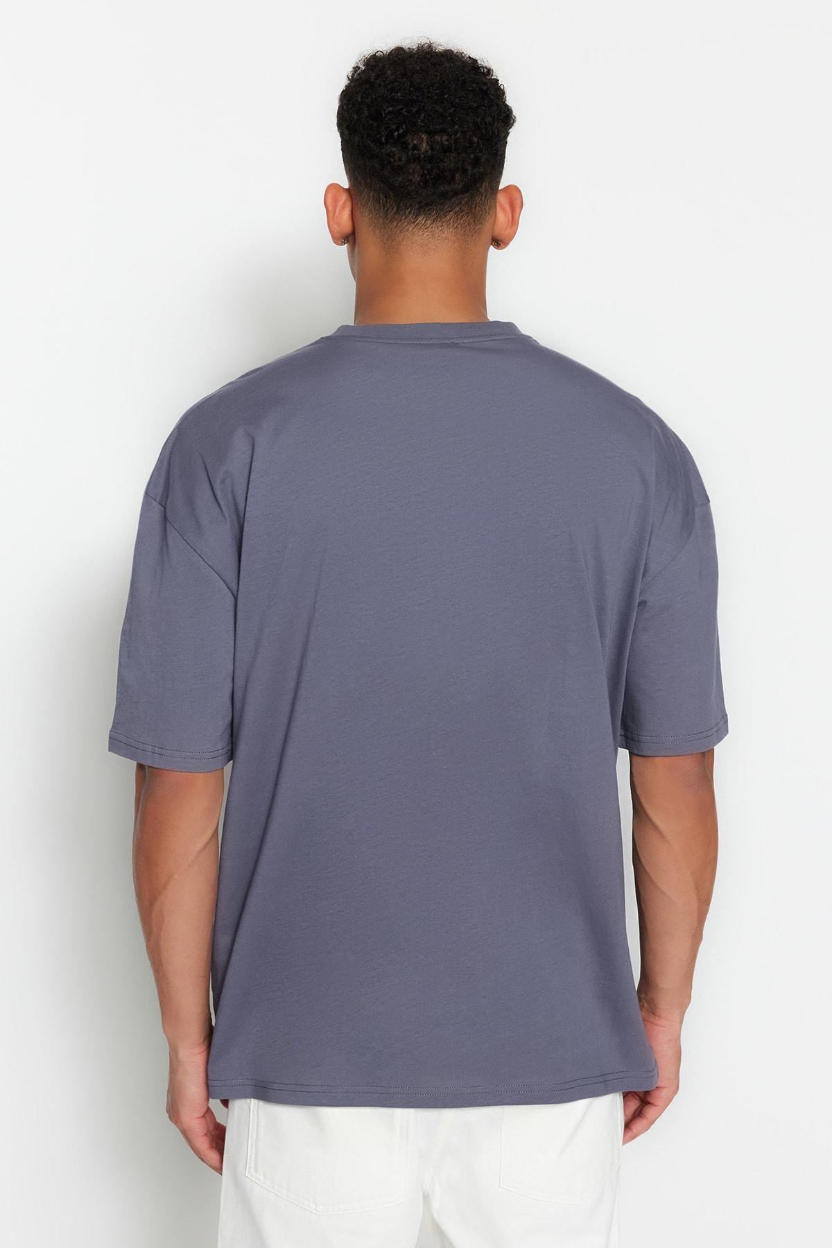 Gray Printed Oversize T-Shirt, , large image number 4