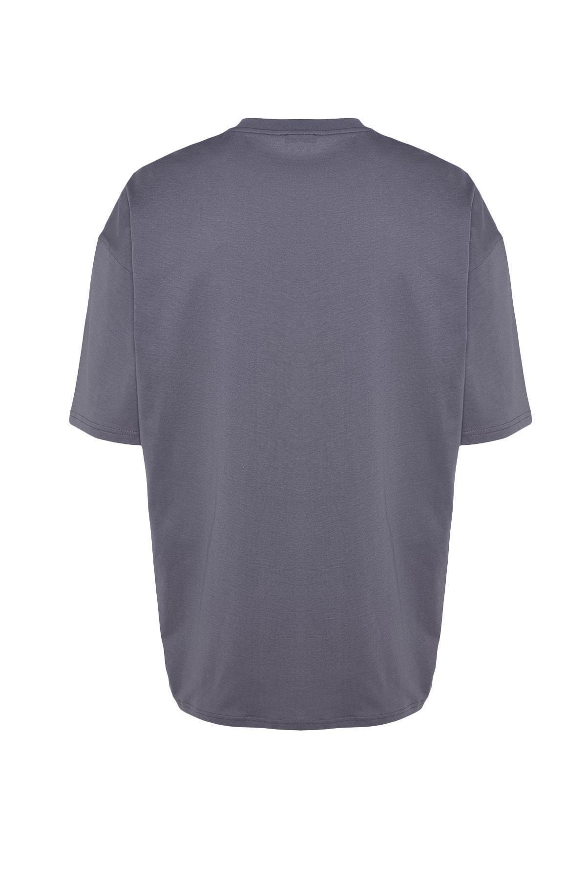 Gray Printed Oversize T-Shirt, , large image number 6
