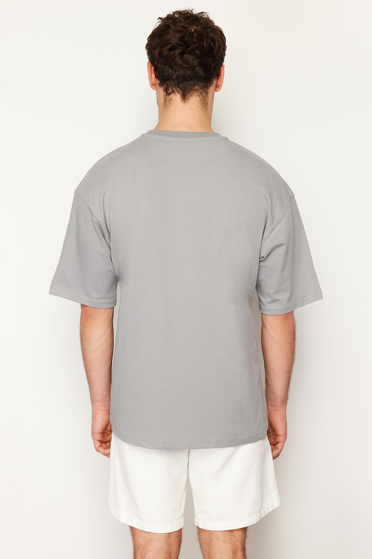 Grey Oversize Crew Neck Printed T-Shirt, , large image number 4