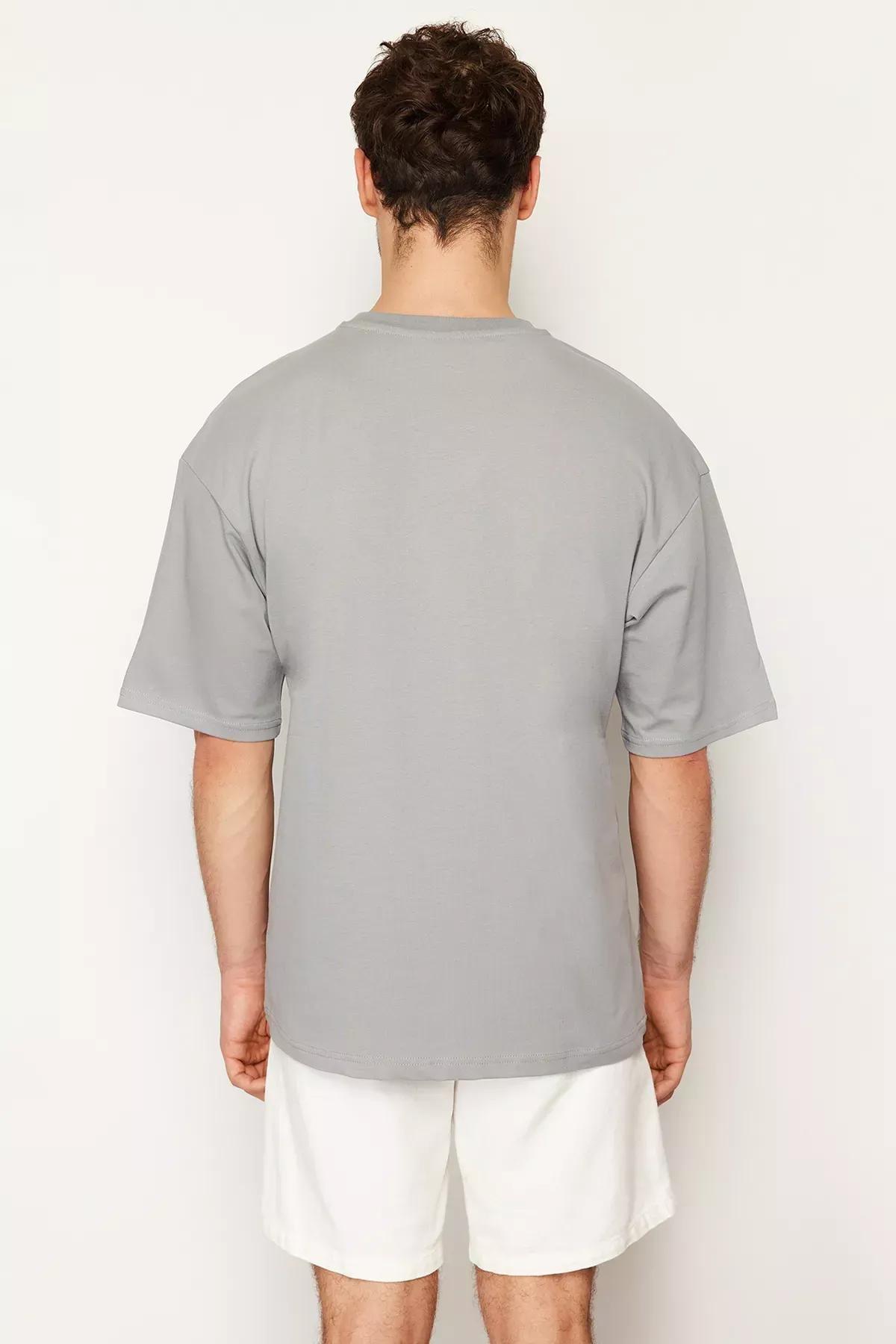 Grey Oversize Crew Neck Printed T-Shirt, C101_1653, large image number 7