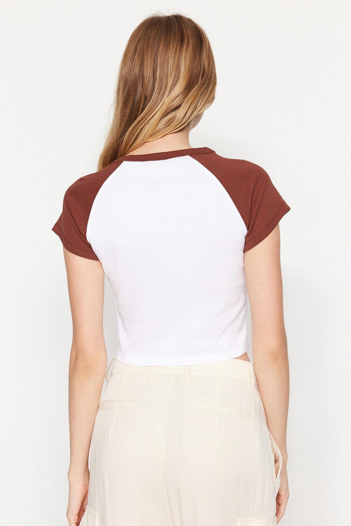 Brown Colorblock T-Shirt, , large image number 3