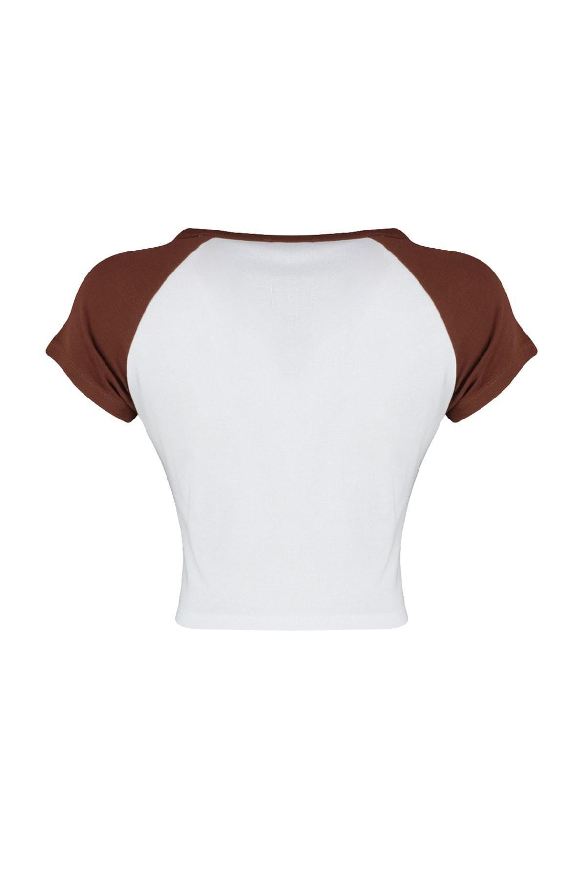 Brown Colorblock T-Shirt, , large image number 5