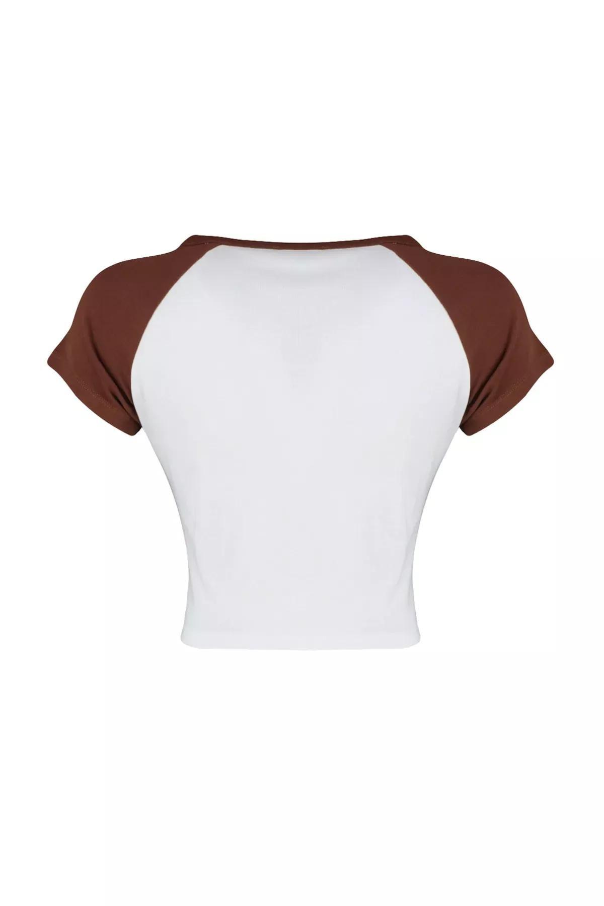 Brown Colorblock T-Shirt, Brown, large image number 5