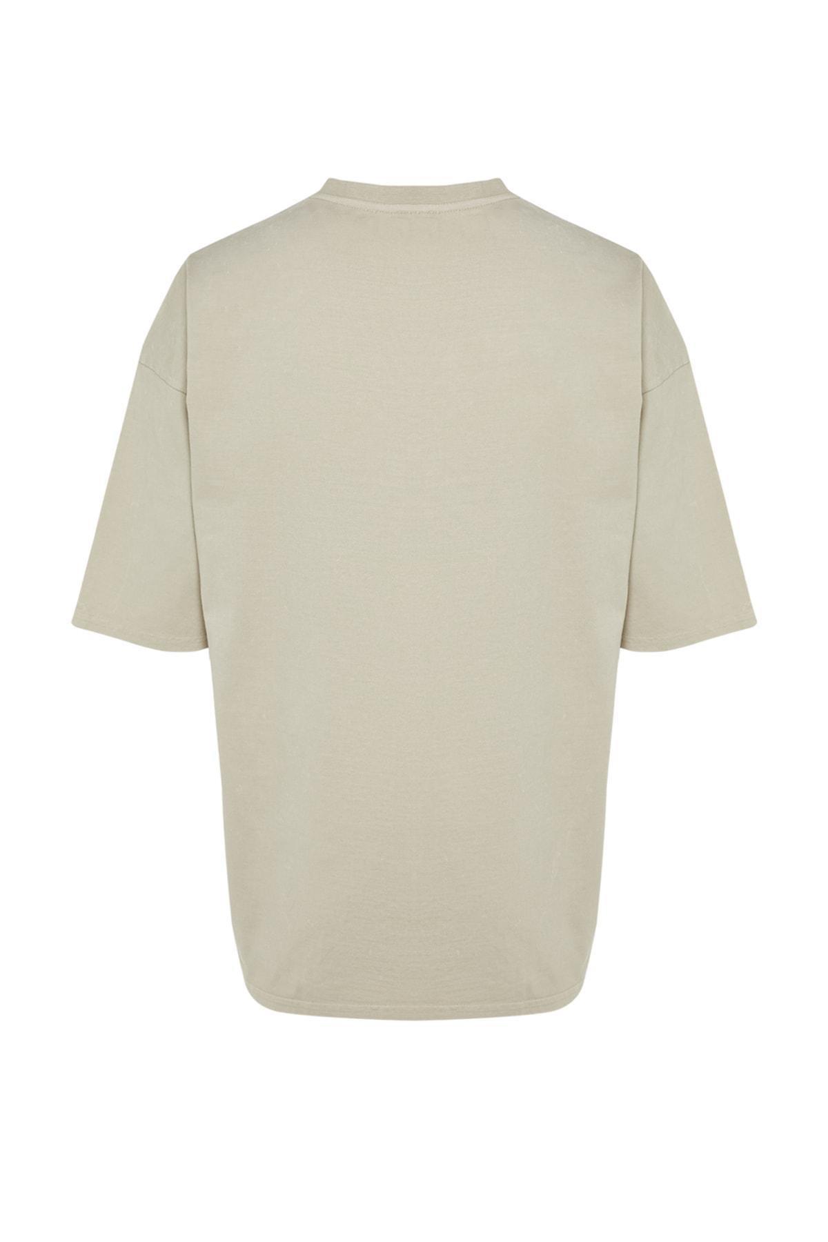 Beige Crew Neck Oversize T-Shirt, , large image number 4