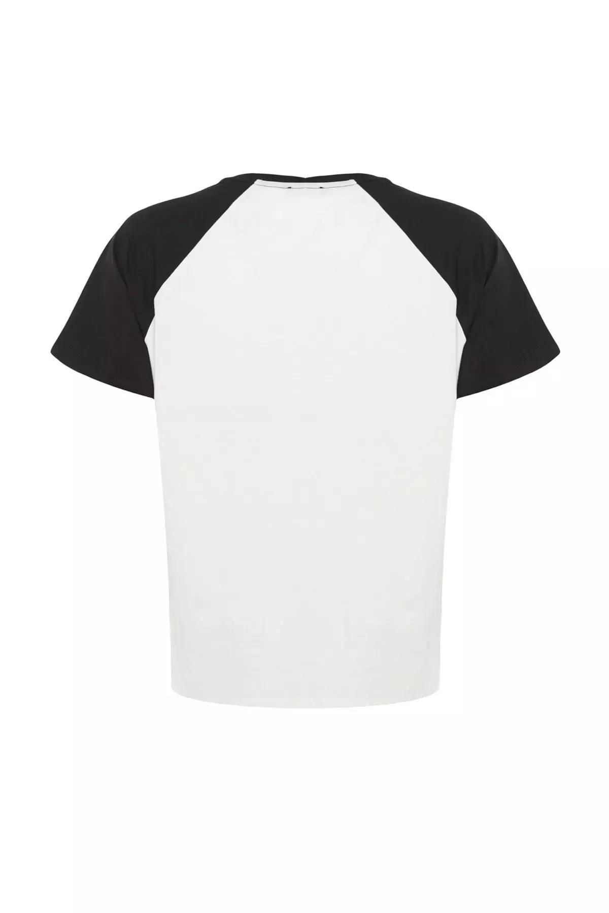 تيشيرت مزين بطبعة للمقاسات الكبيرة، أبيض, Ecru, large image number 6