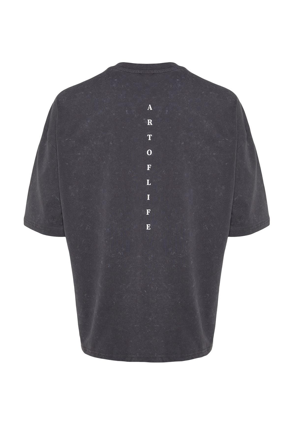 Grey Graphic Oversize T-Shirt, , large image number 4