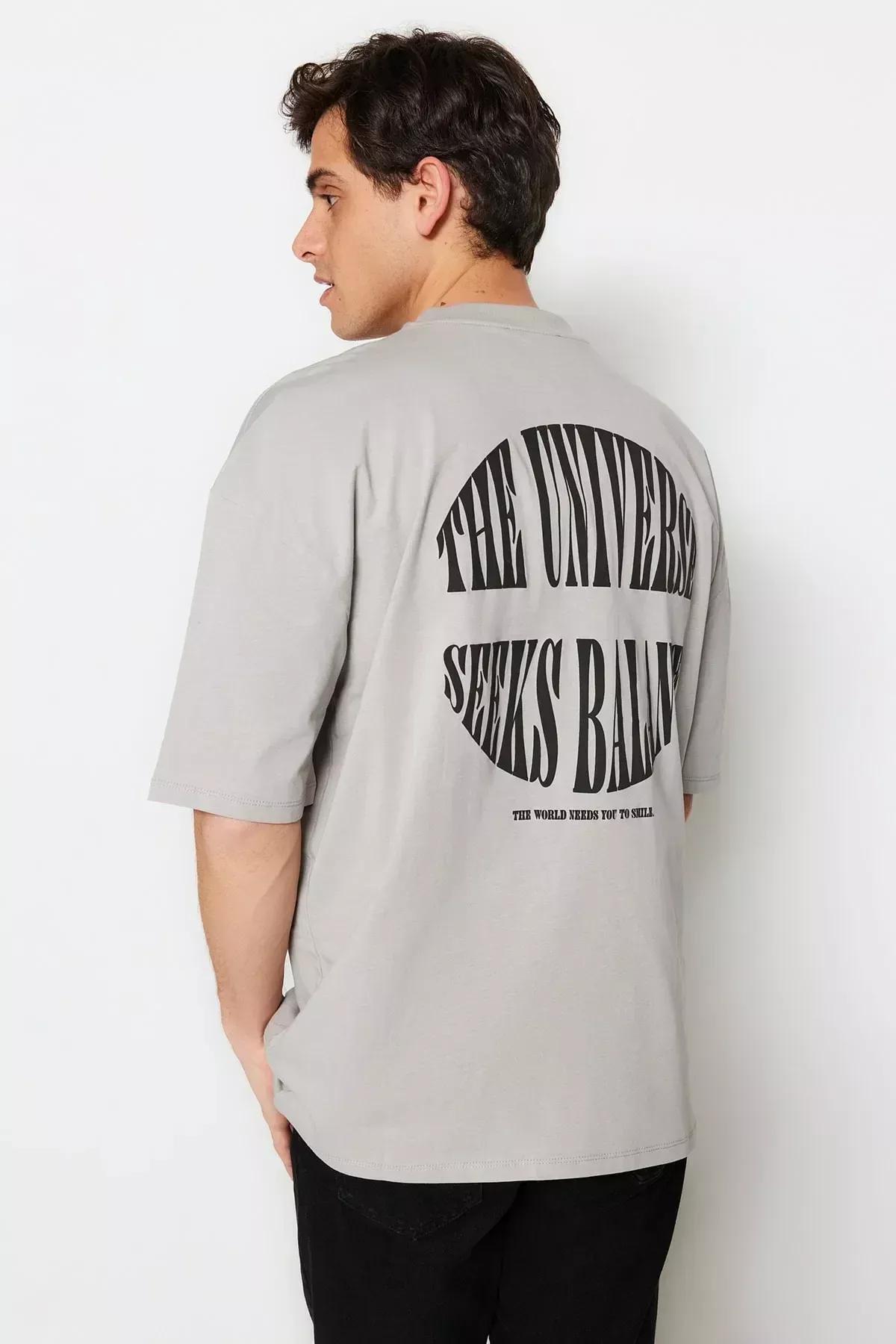 Grey Printed Oversize T-Shirt, Gray, large image number 3