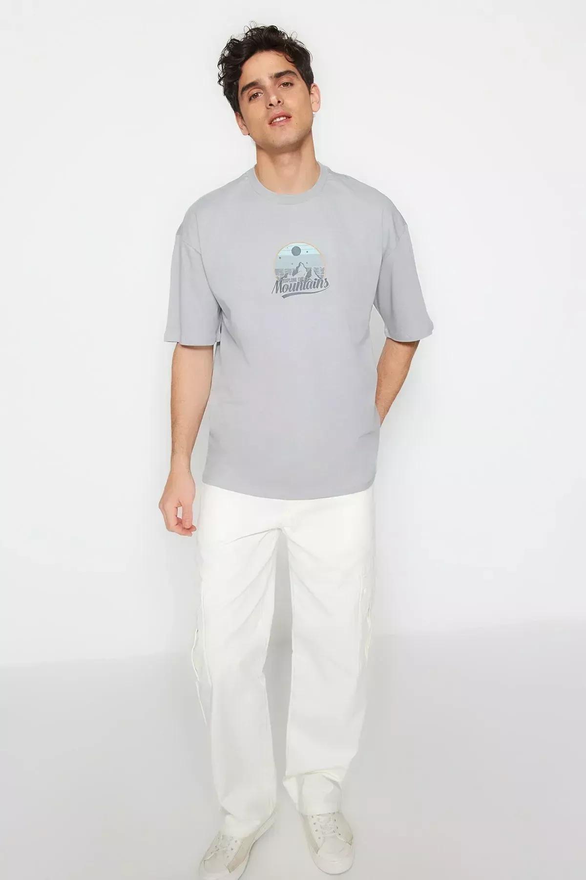 Grey Printed Relaxed T-Shirt, , large image number 1