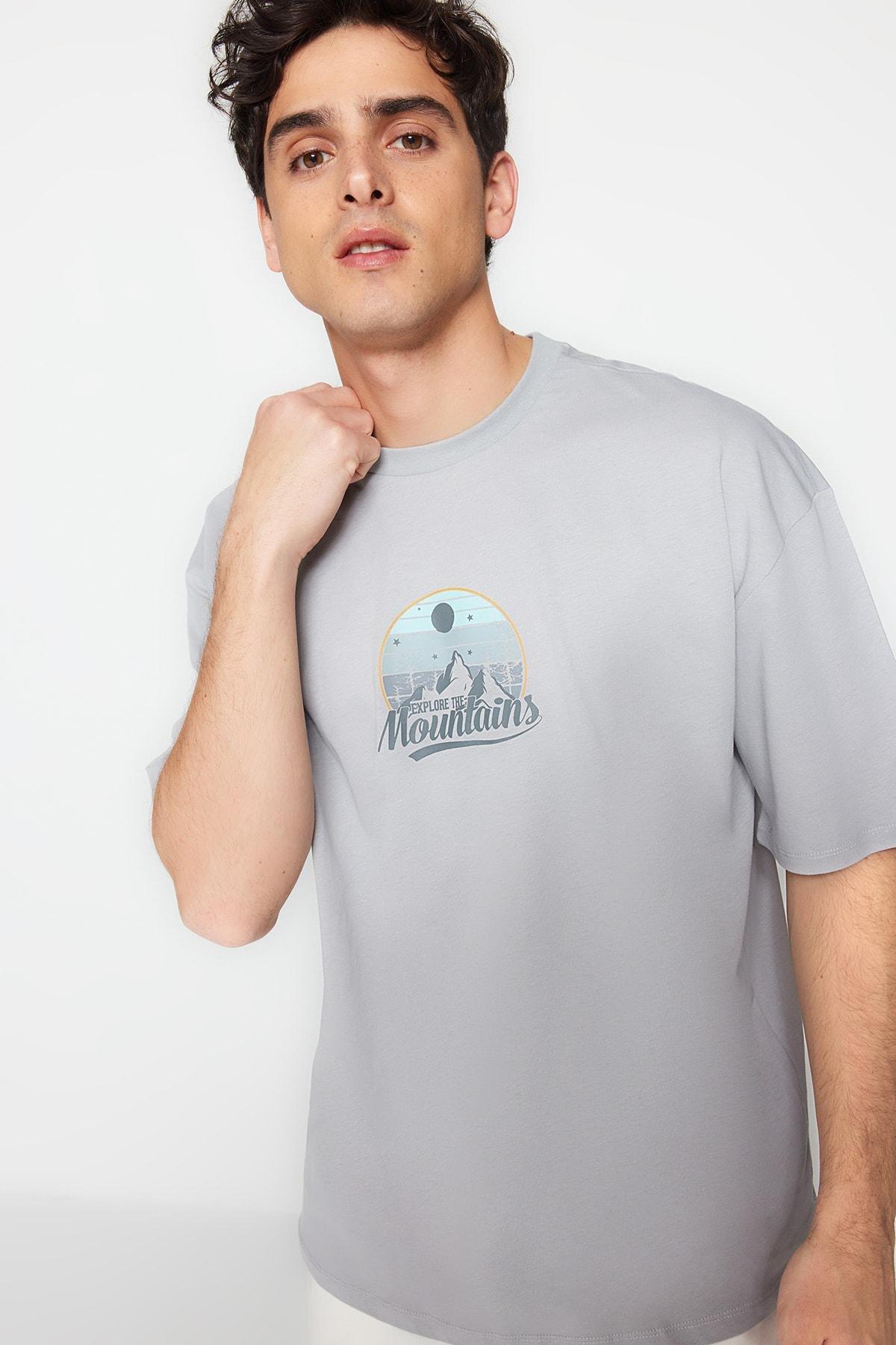 Grey Printed Relaxed T-Shirt, , large image number 2