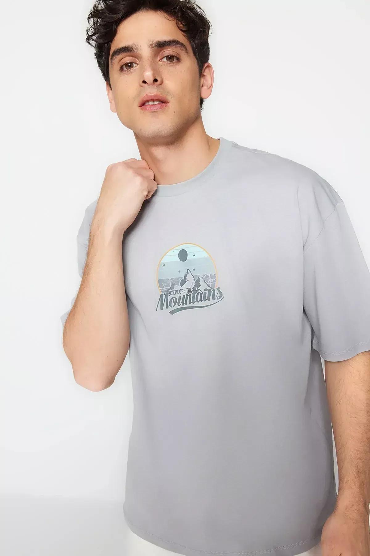 Grey Printed Relaxed T-Shirt, , large image number 2