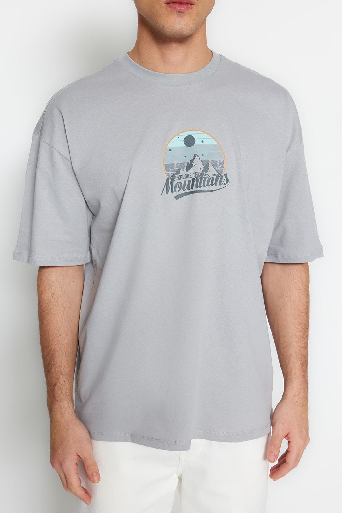 Grey Printed Relaxed T-Shirt, , large image number 3