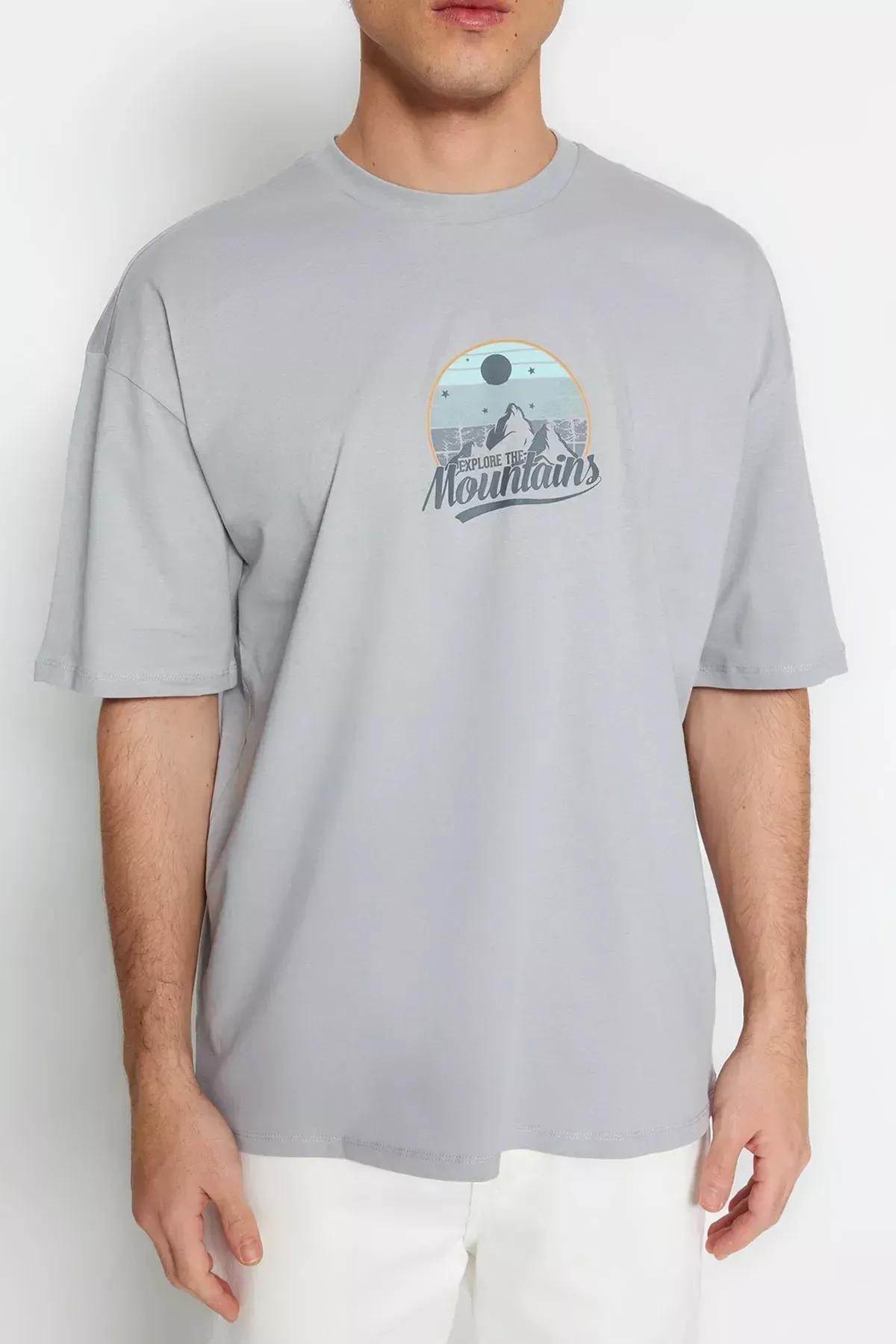 Grey Printed Relaxed T-Shirt, , large image number 3