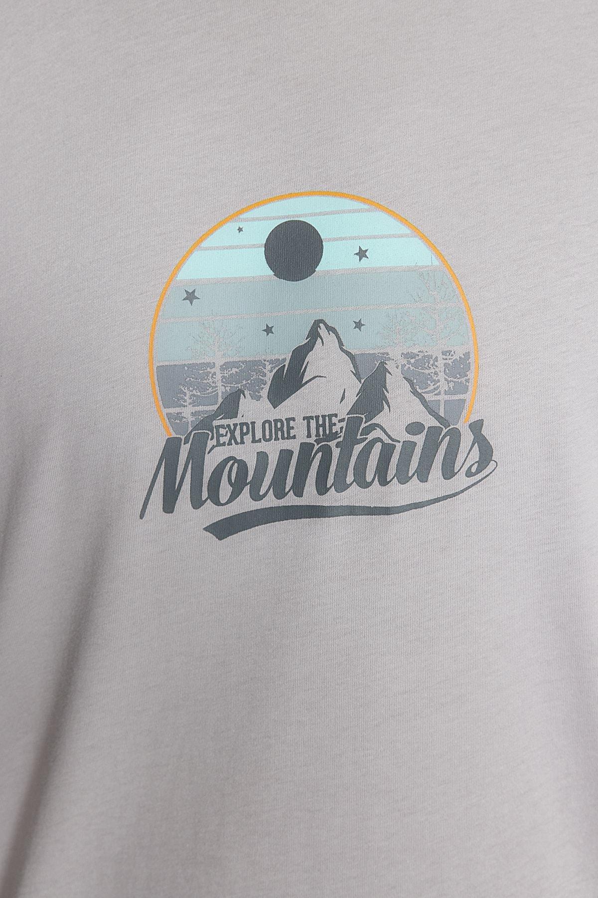 Grey Printed Relaxed T-Shirt, , large image number 4