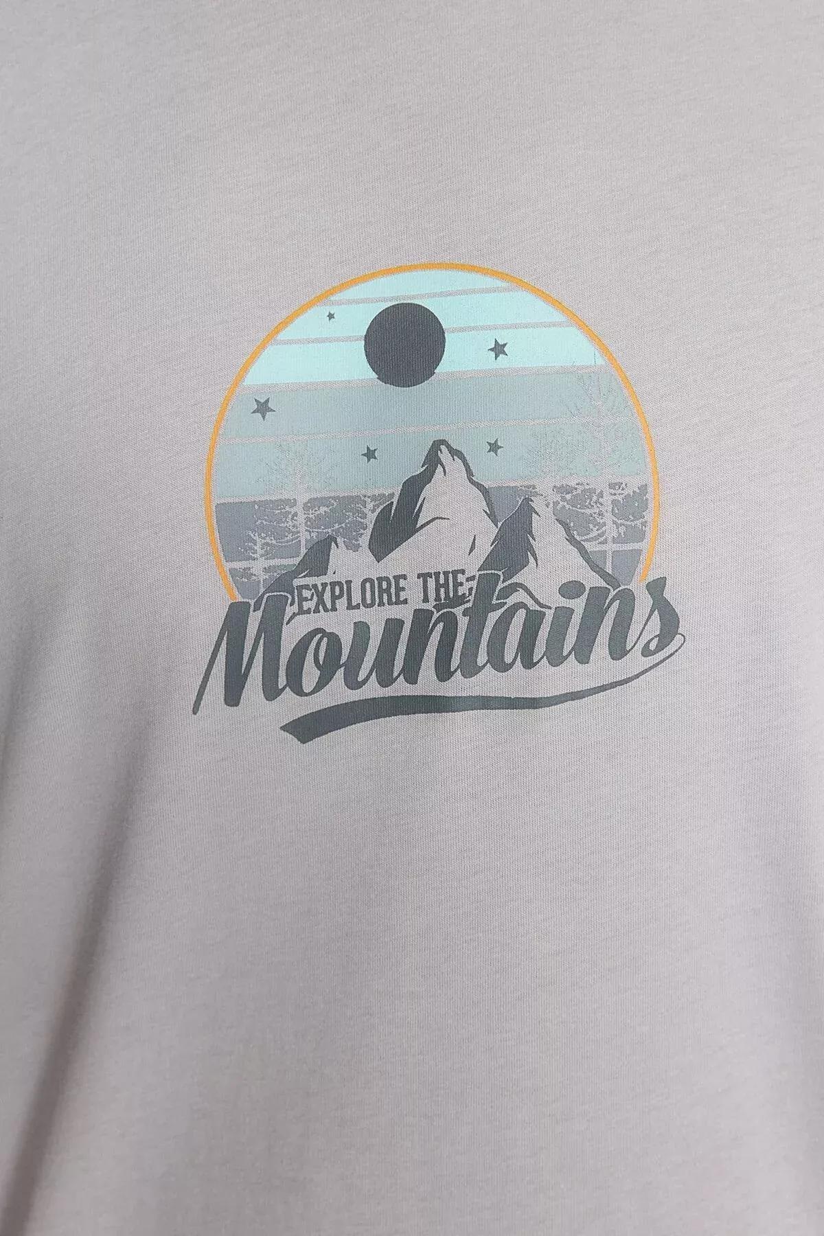 Grey Printed Relaxed T-Shirt, , large image number 4