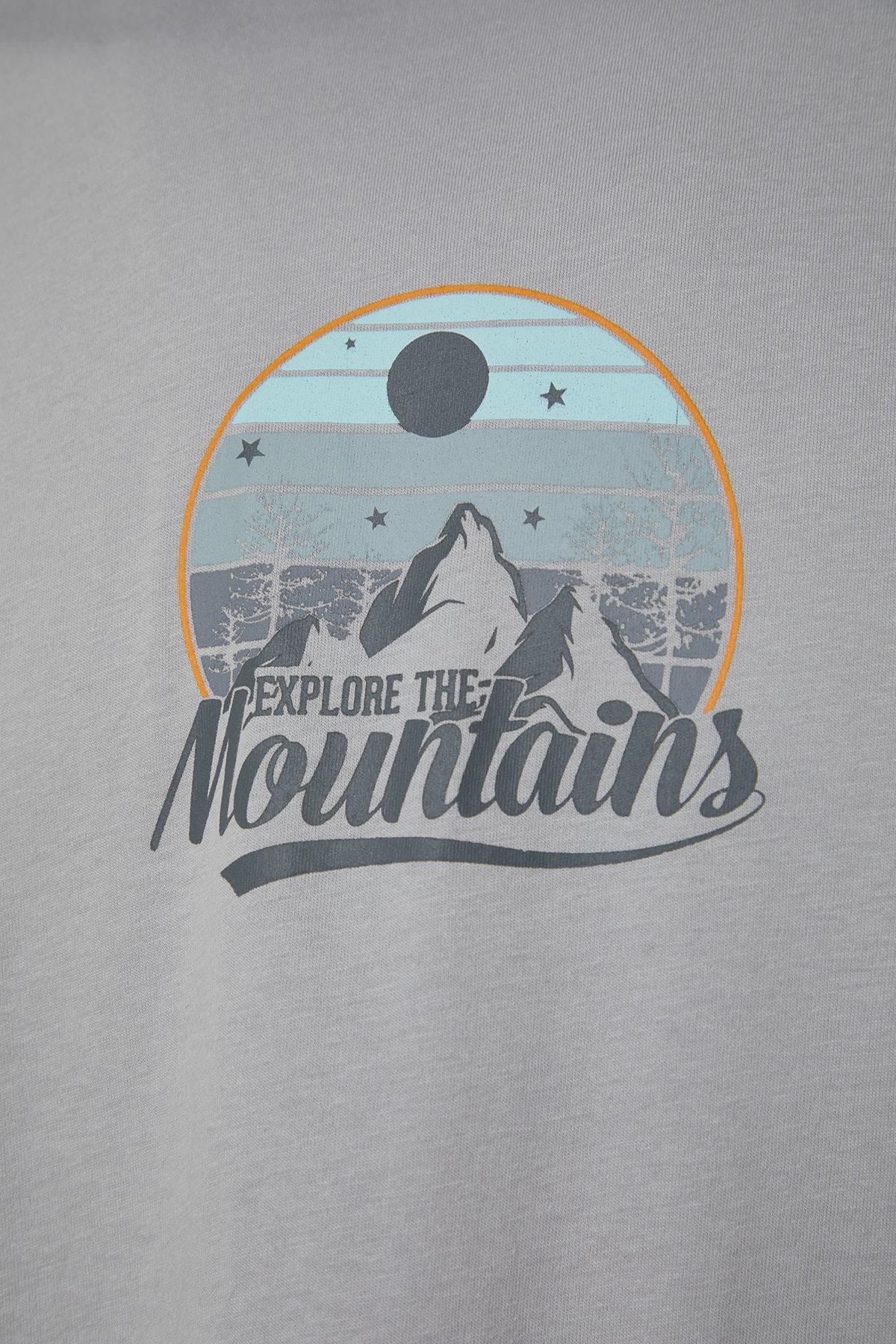 Grey Printed Relaxed T-Shirt, , large image number 5