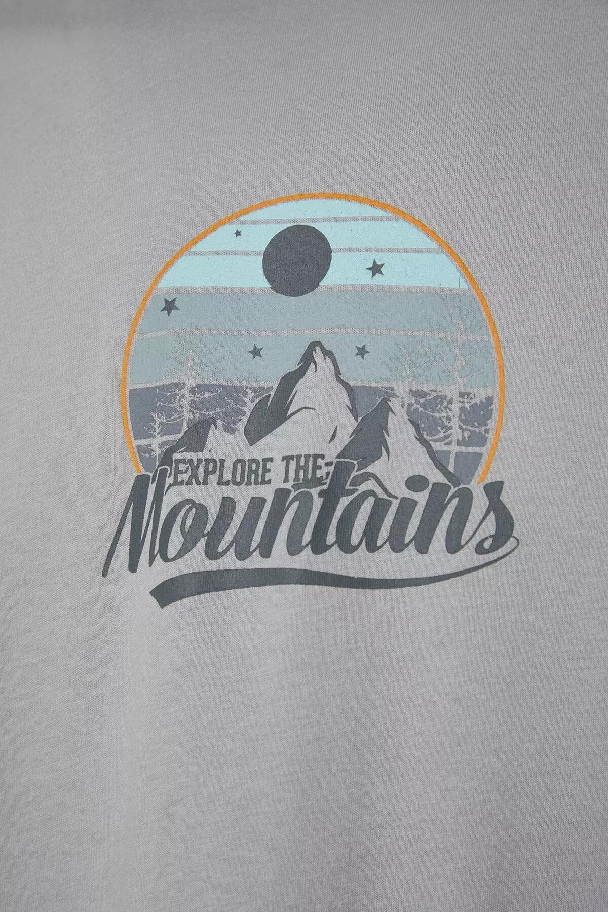 Grey Printed Relaxed T-Shirt, , large image number 5