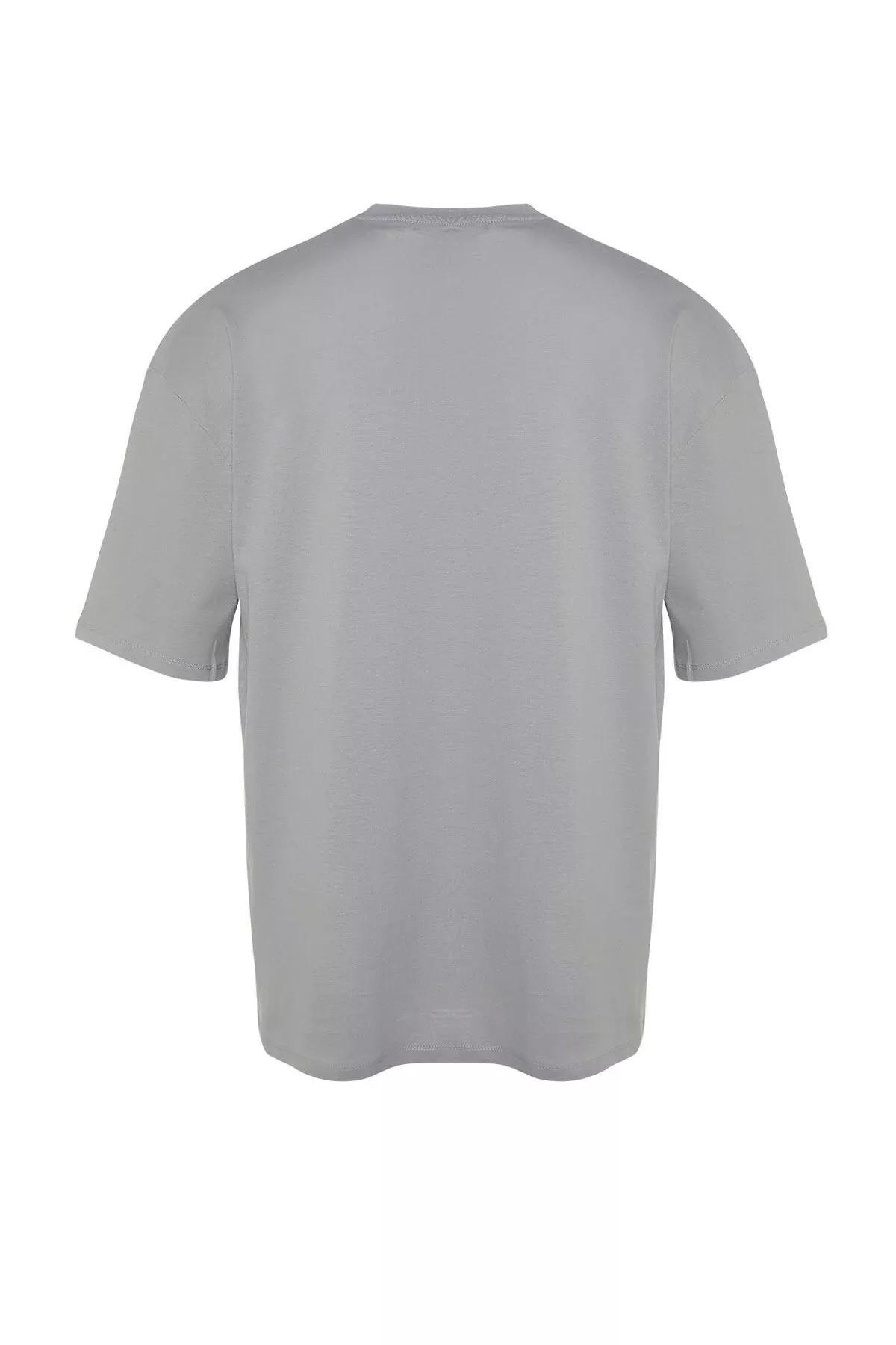 Grey Printed Relaxed T-Shirt, , large image number 6