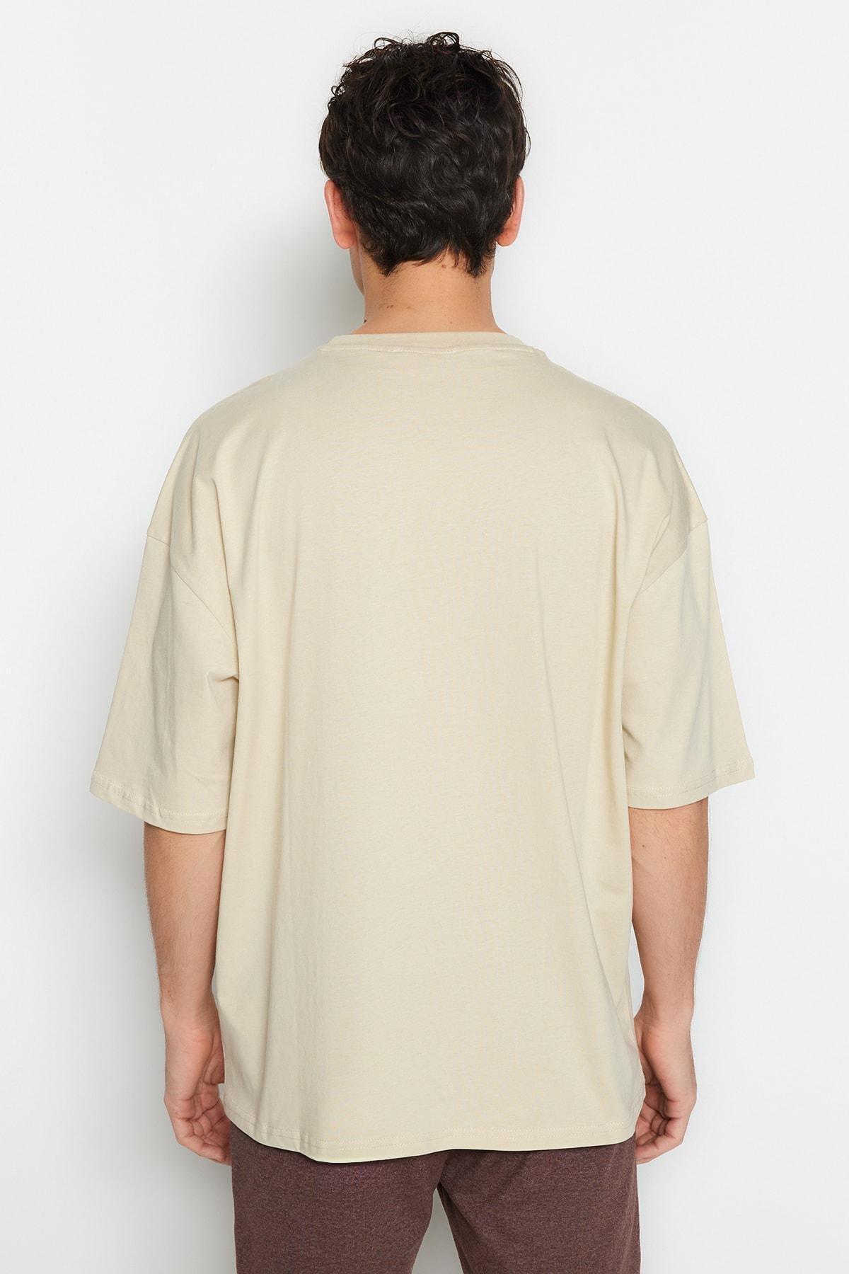 Grey Oversize Crew Neck T-Shirt, , large image number 4