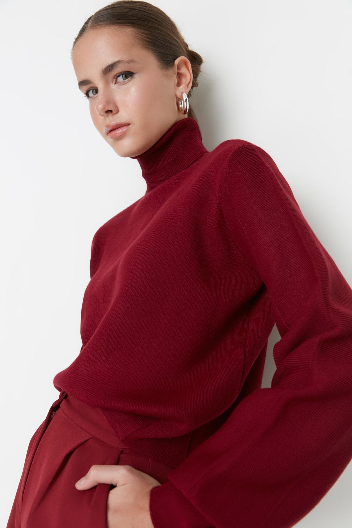 Burgundy Turtleneck Sweater, , large image number 0