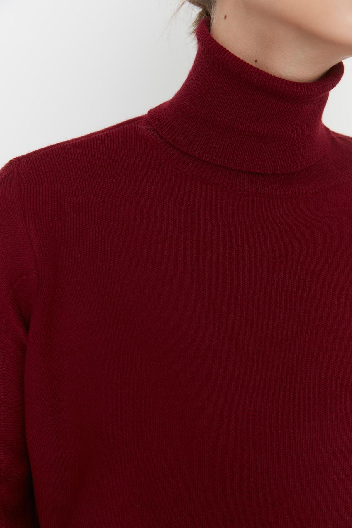 Burgundy Turtleneck Sweater, , large image number 3