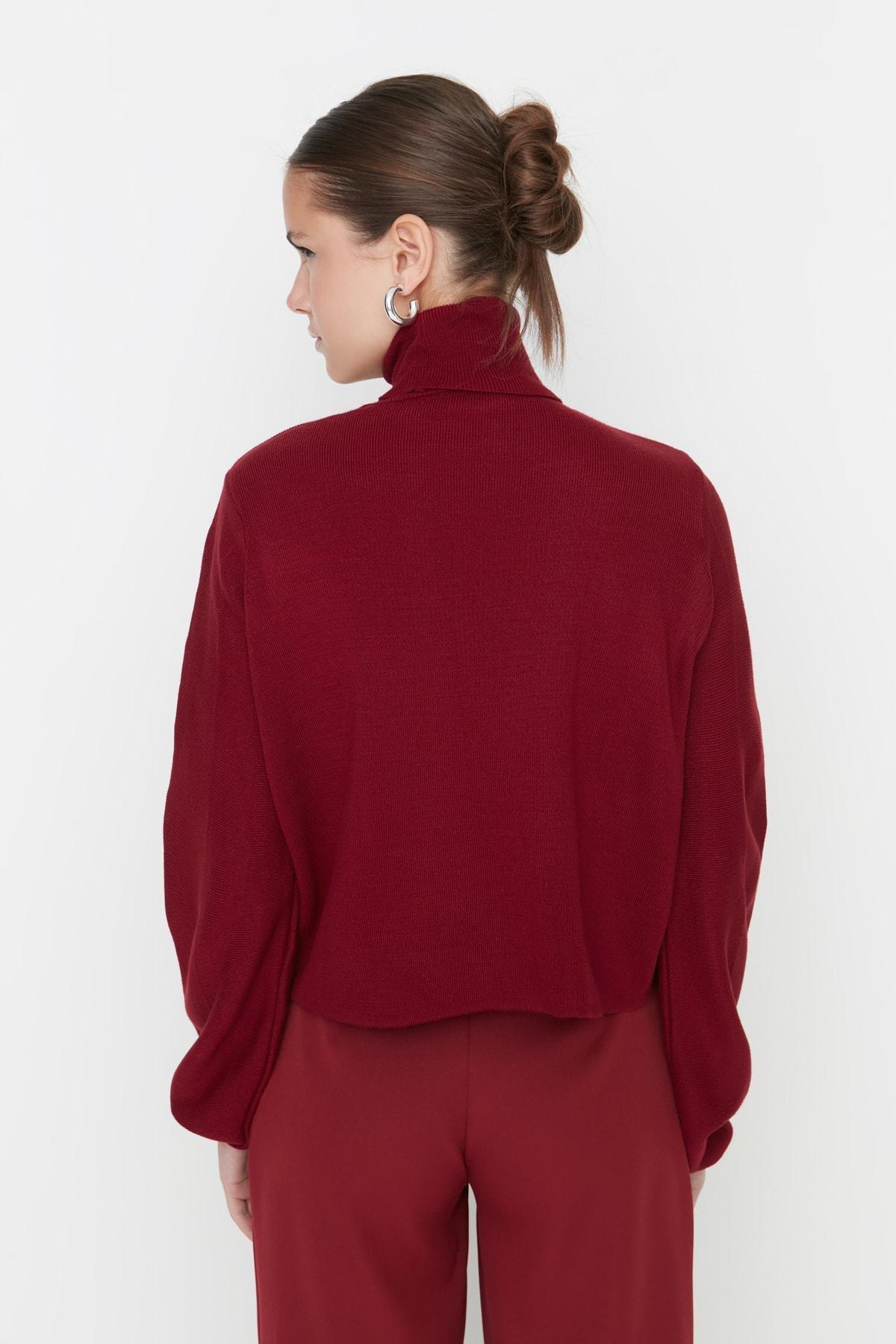 Burgundy Turtleneck Sweater, , large image number 4