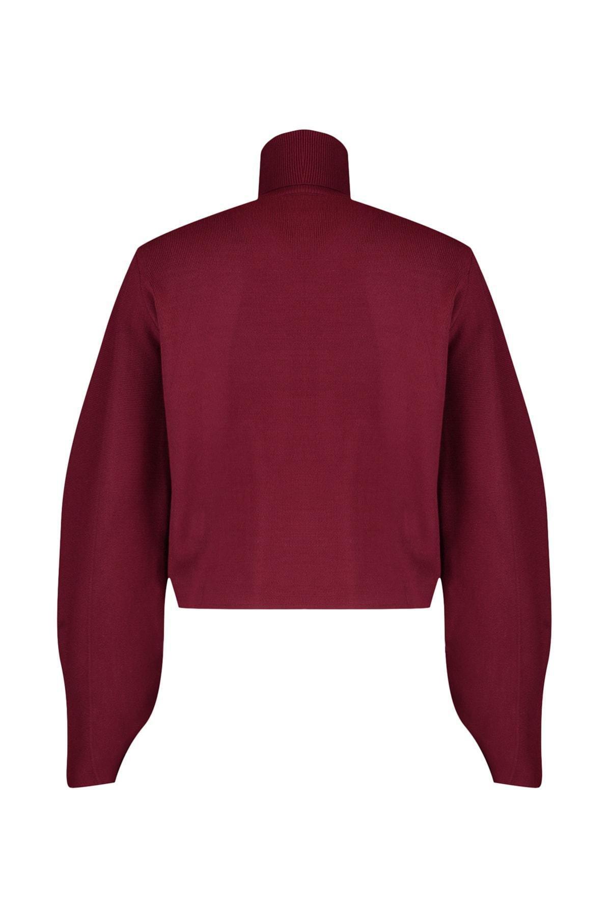Burgundy Turtleneck Sweater, , large image number 7