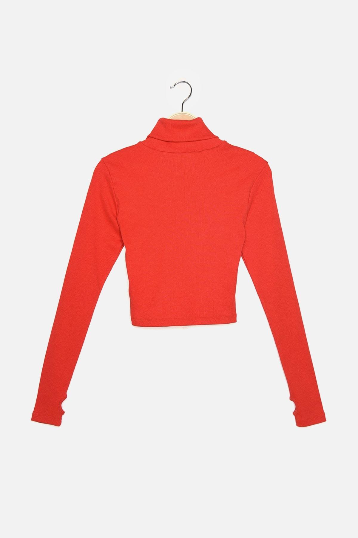 Red Turtleneck Blouse, Red, large image number 7