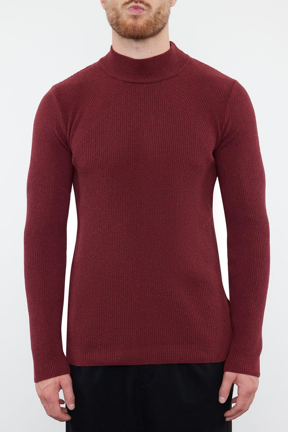 Claret Red Regular Knitwear Sweater, , large image number 2