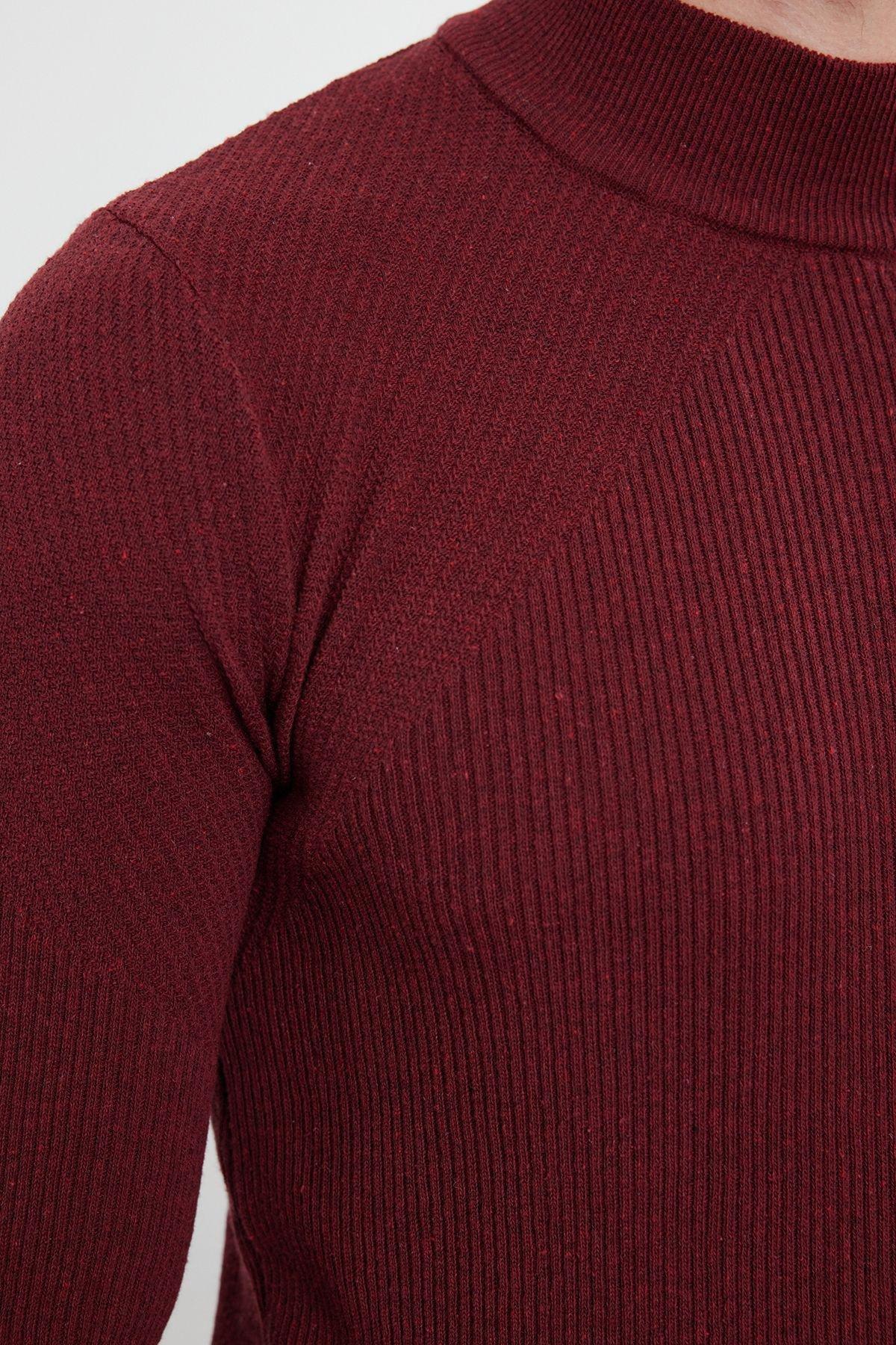 Claret Red Regular Knitwear Sweater, , large image number 3