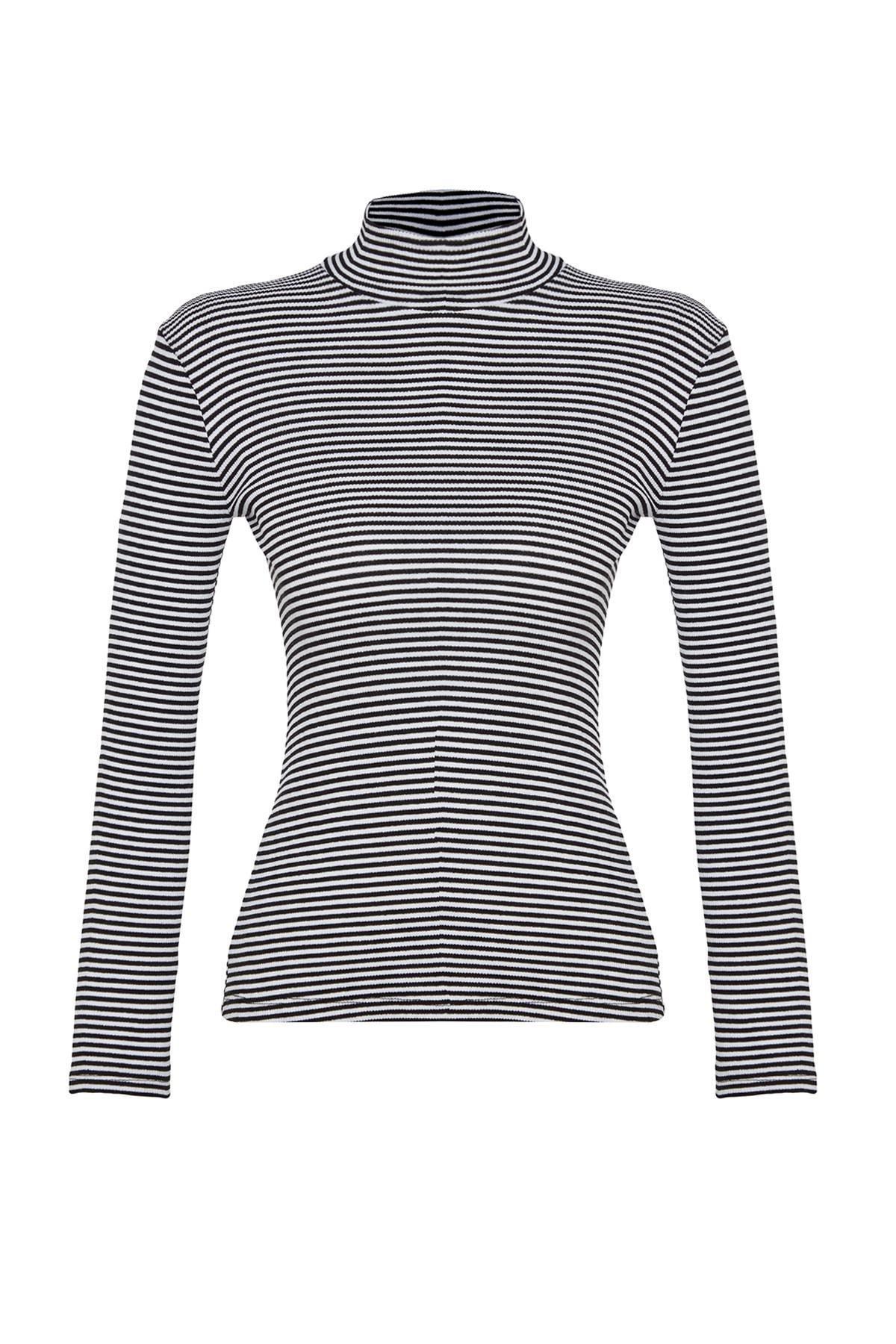 Multicolour Striped Collared Stretched Blouse, , large image number 5