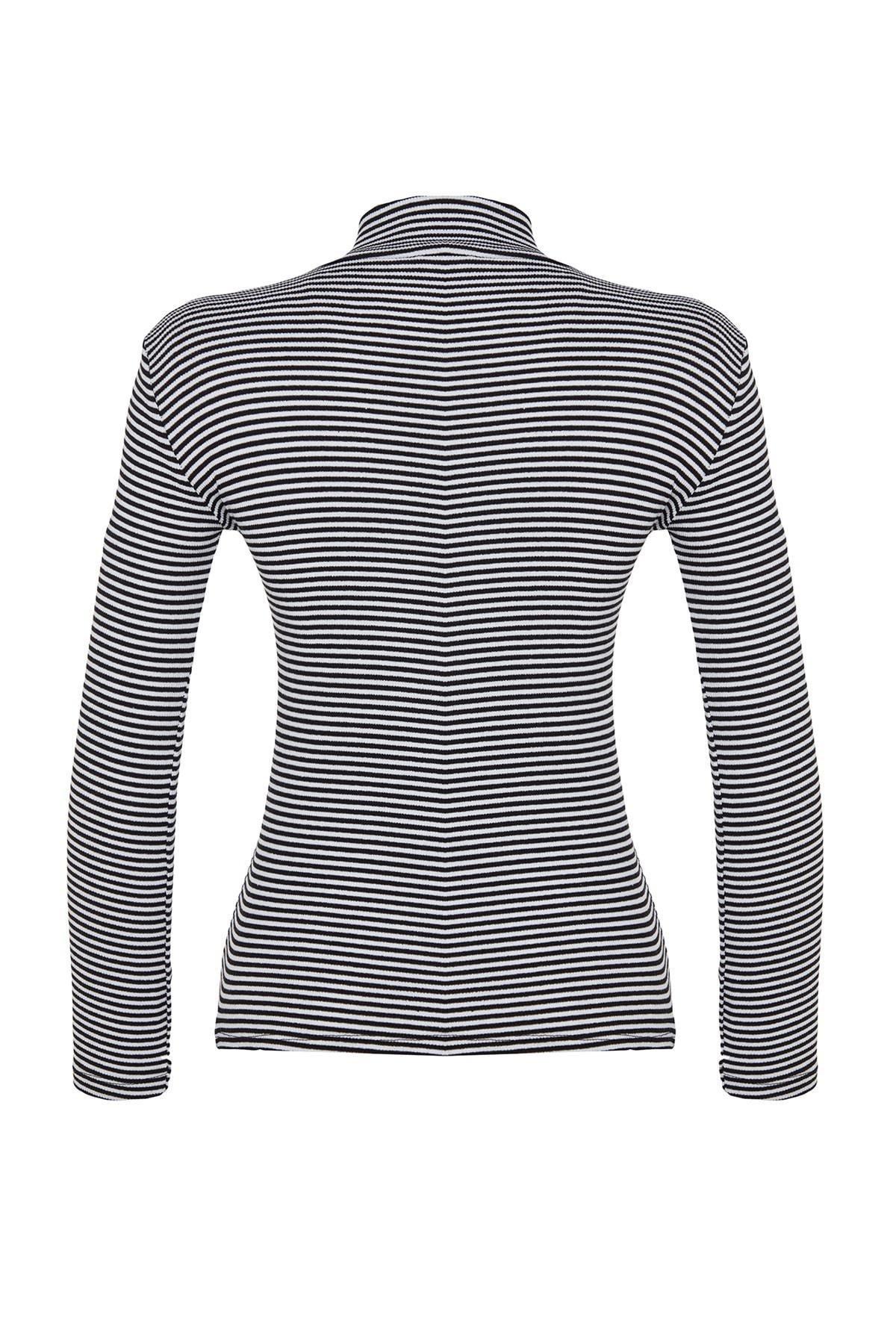 Multicolour Striped Collared Stretched Blouse, , large image number 6