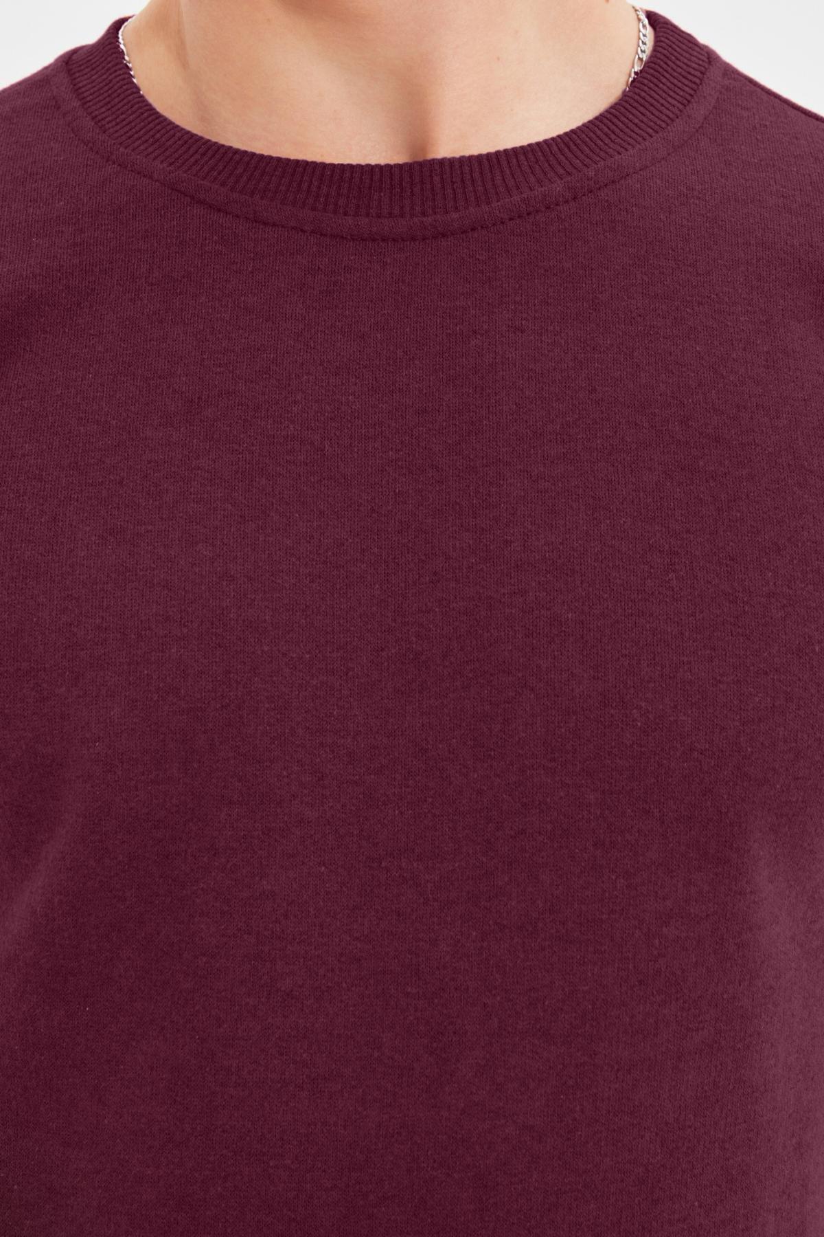Burgundy Regular Crew Neck Sweatshirt, , large image number 2