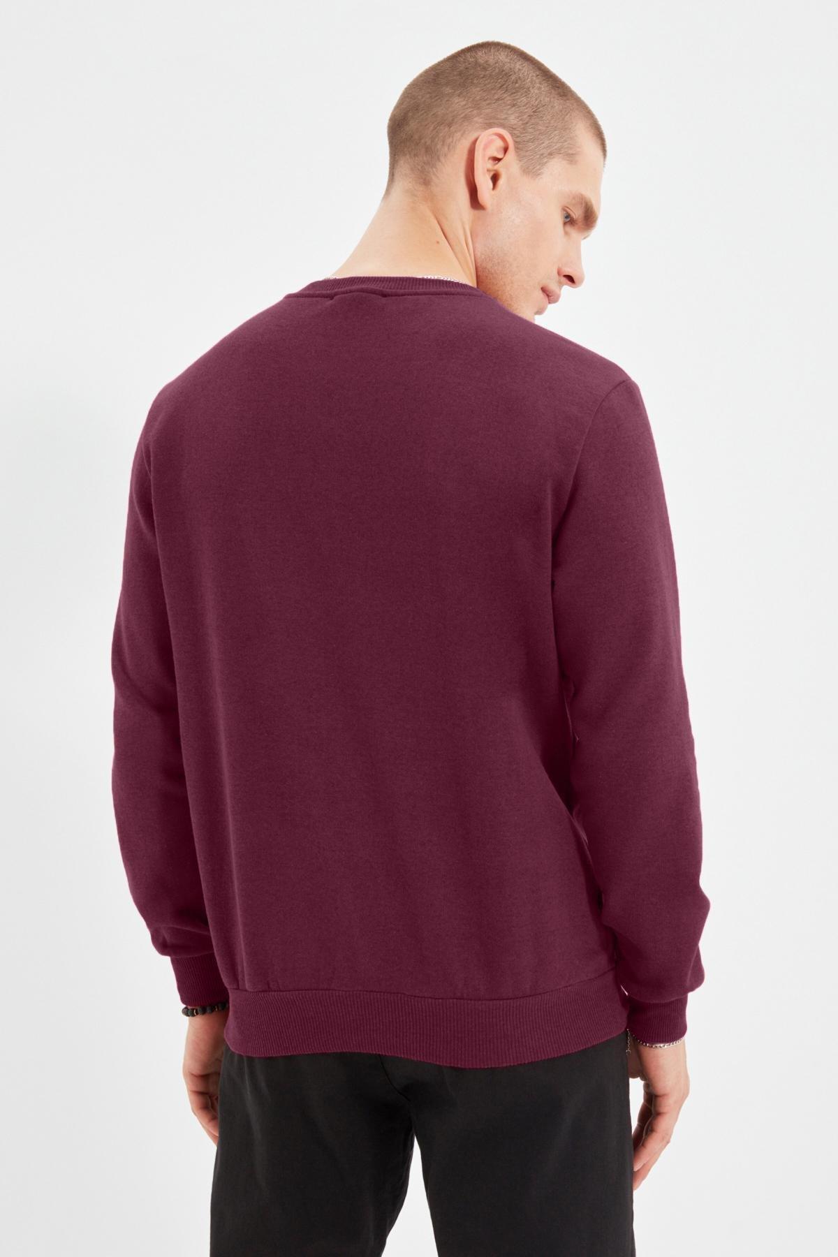 Burgundy Regular Crew Neck Sweatshirt, , large image number 3