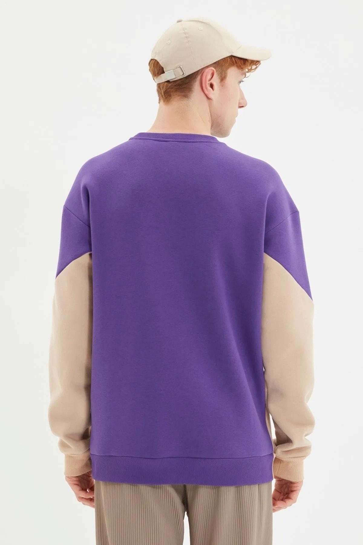 Purple Colour block Crew Neck Sweatshirt, , large image number 4