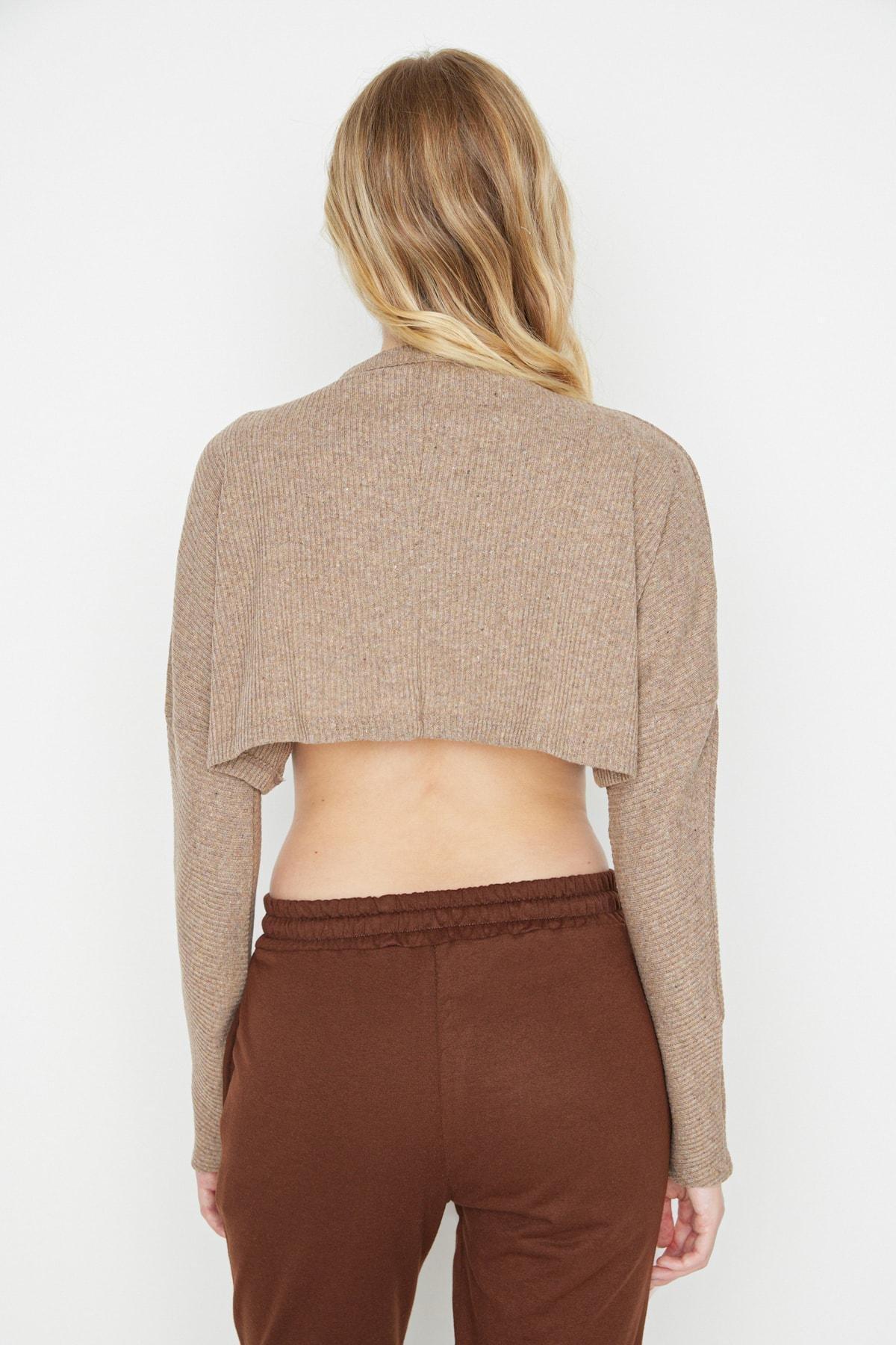 Beige Regular Blouse, , large image number 4