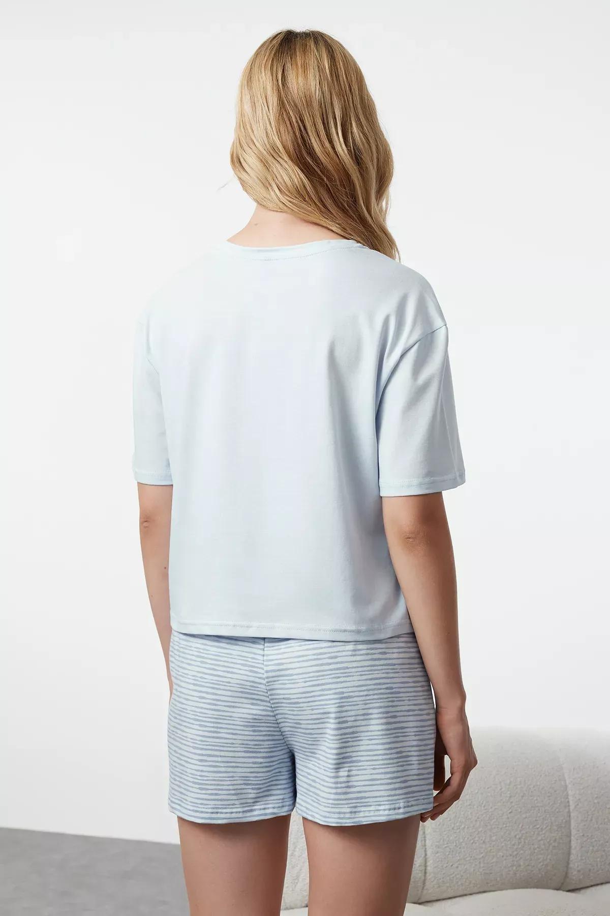 Light Blue Cotton Striped Slogan Printed Knitted Pajama Set THMSS23PT00228, , large image number 4