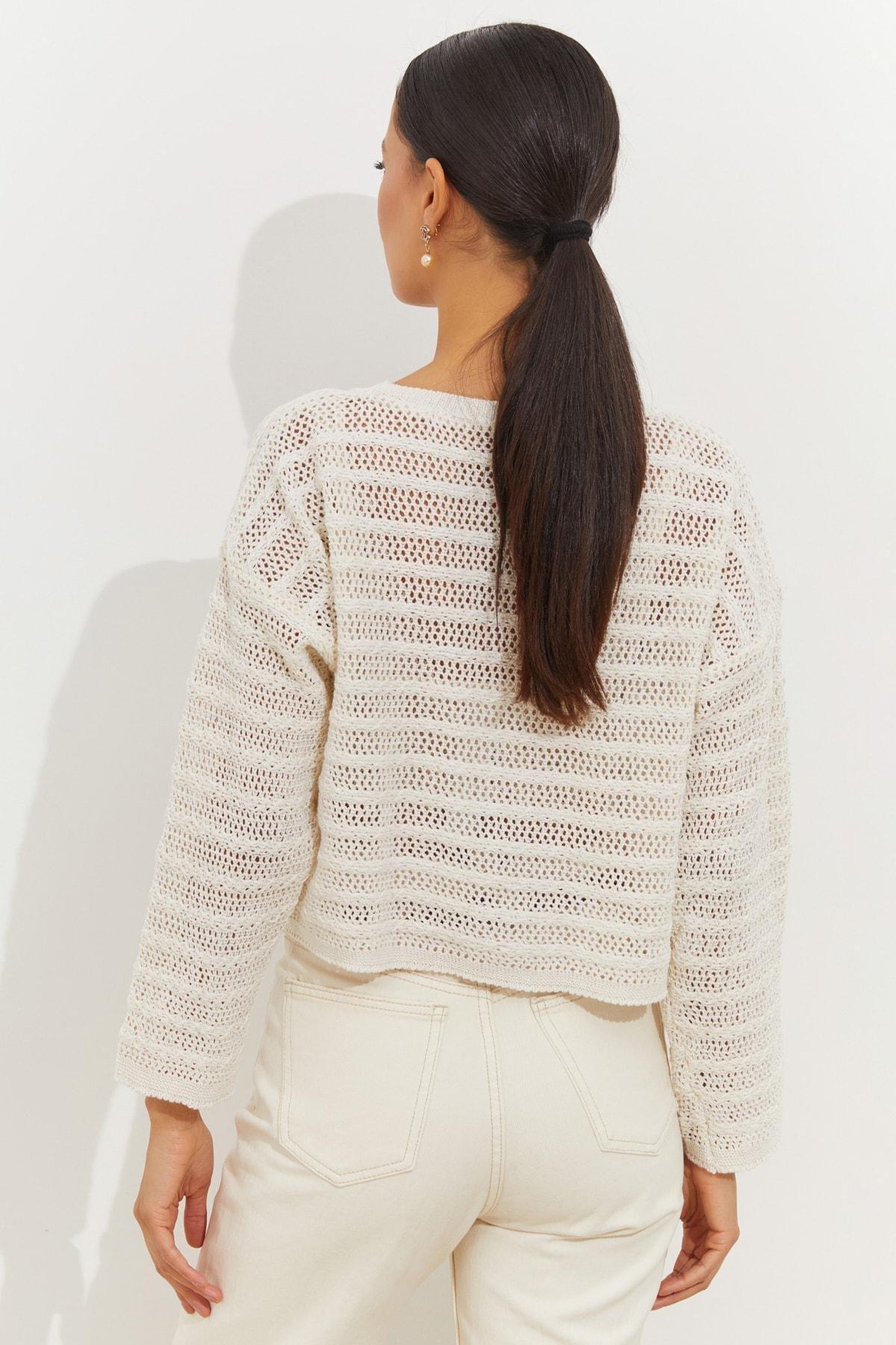 Beige Crew Neck Sweater, , large image number 5