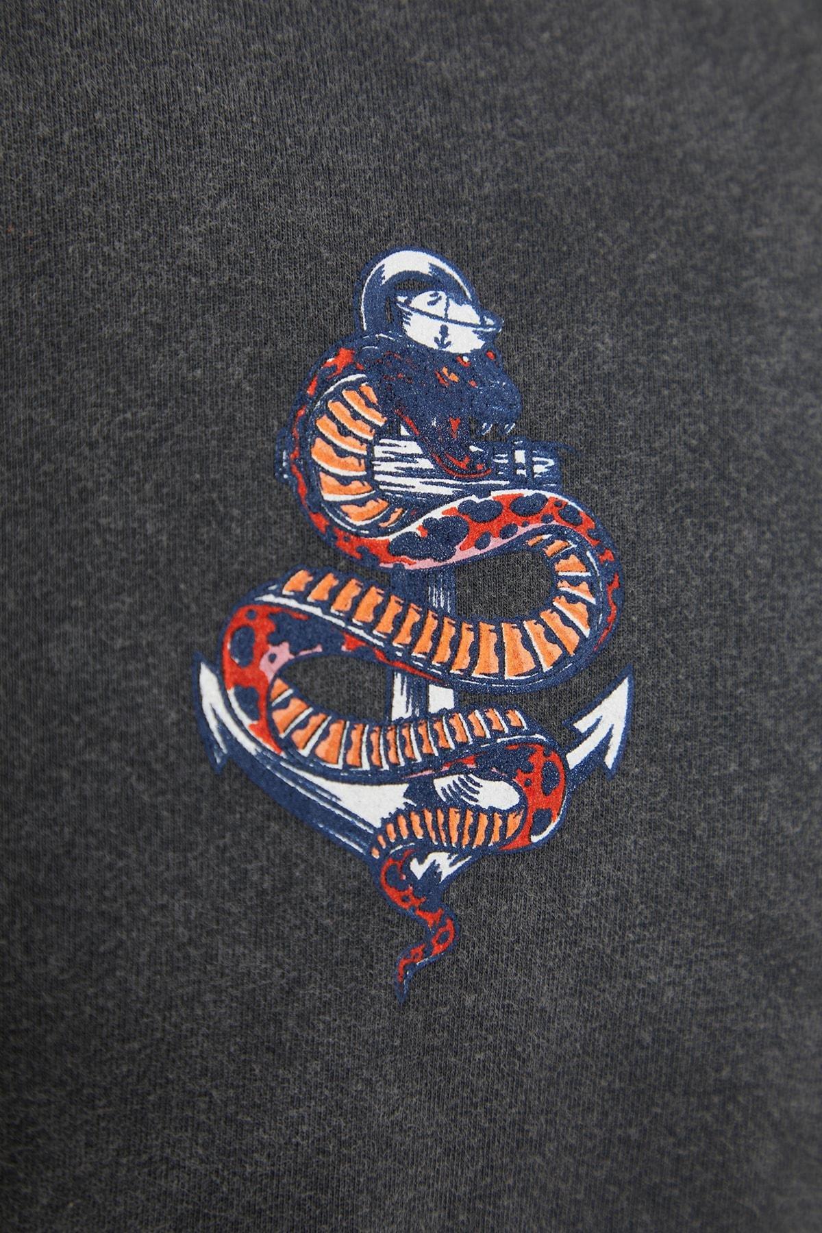 Grey Graphic Crew Neck Oversize T-Shirt, , large image number 5