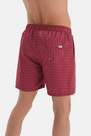 Dagi - Red Tie Patterned Medium Shorts