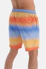 Dagi - Multicolour Gradient Long Shorts